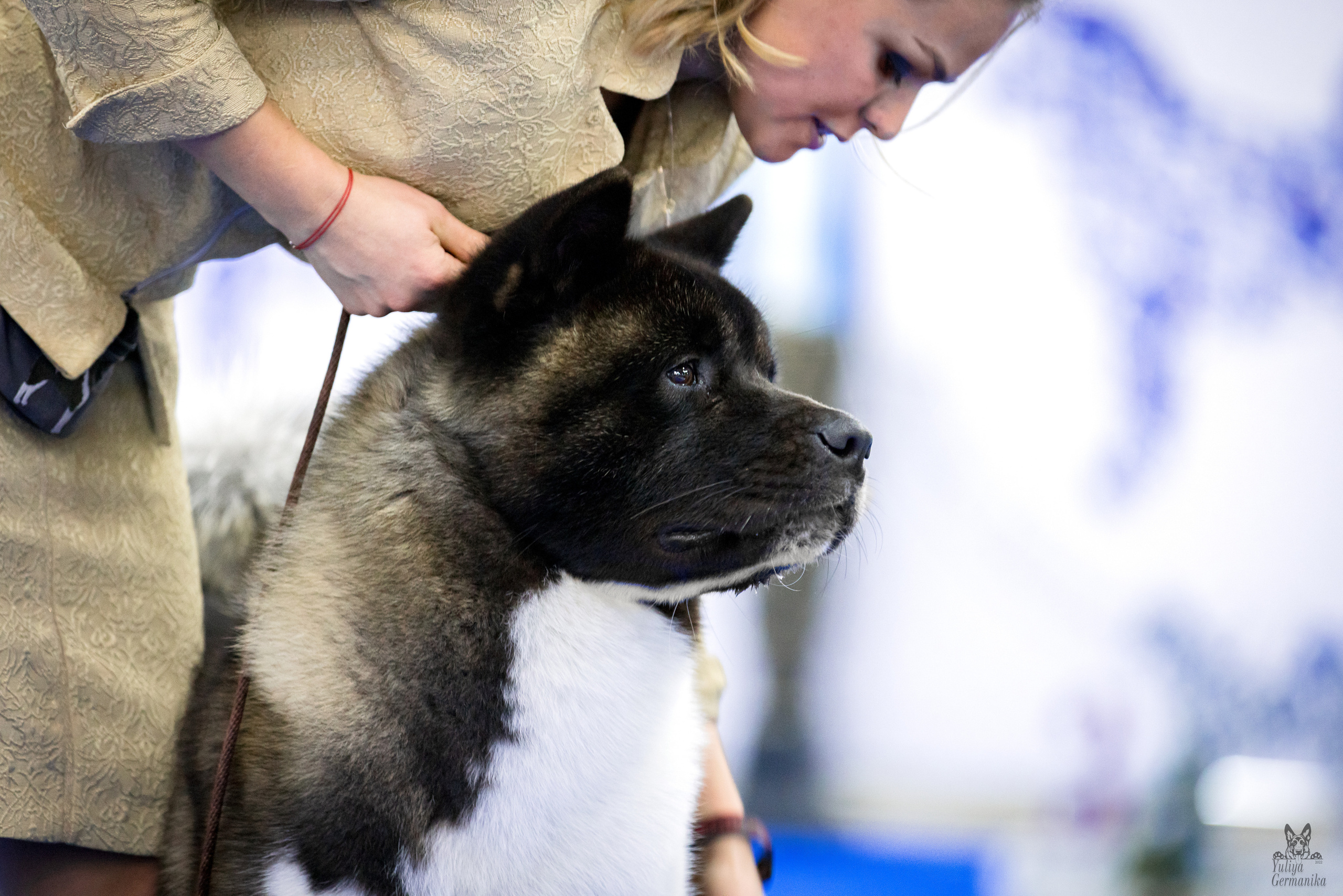 Чайна-Таун 24-25.12.2022. Фотограф-анималист Юлия Германика