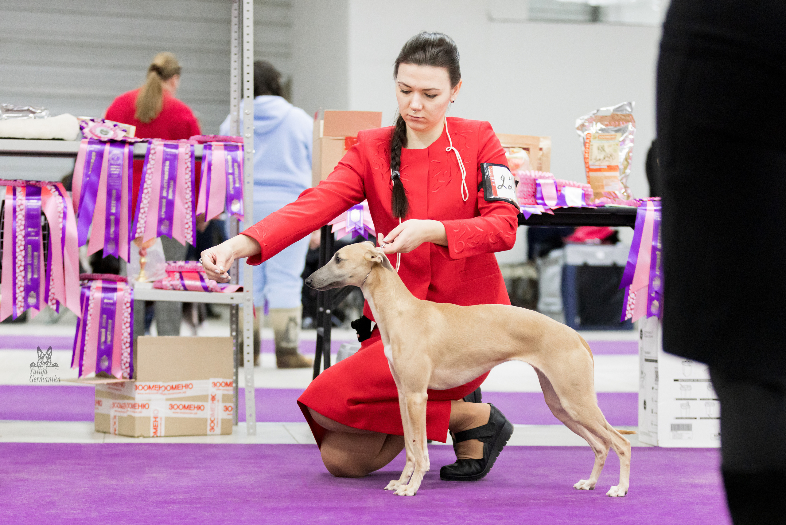 Чайна-Таун 5-8.01.2023. Фотограф-анималист Юлия Германика