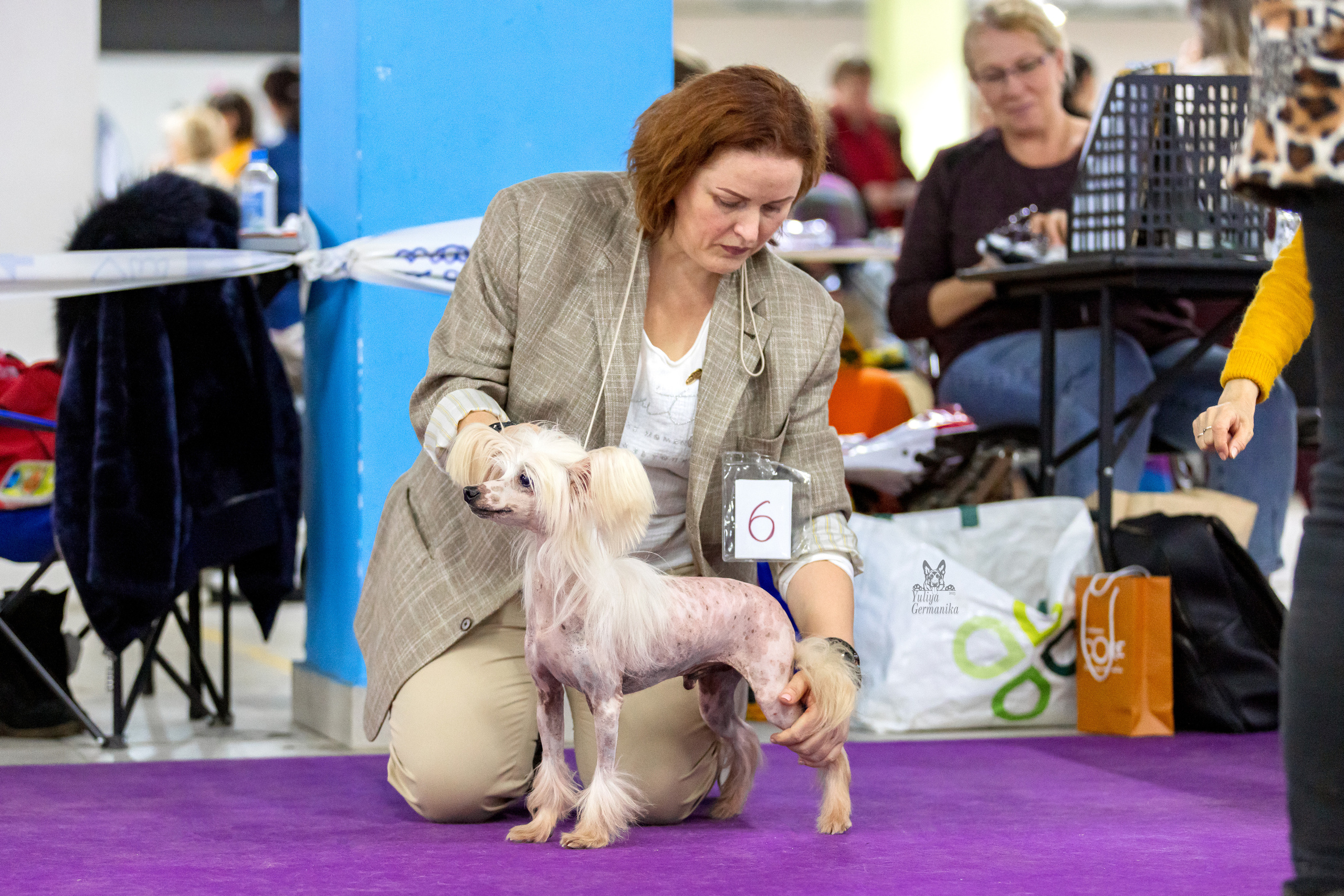 Чайна-Таун 5-8.01.2023. Фотограф-анималист Юлия Германика