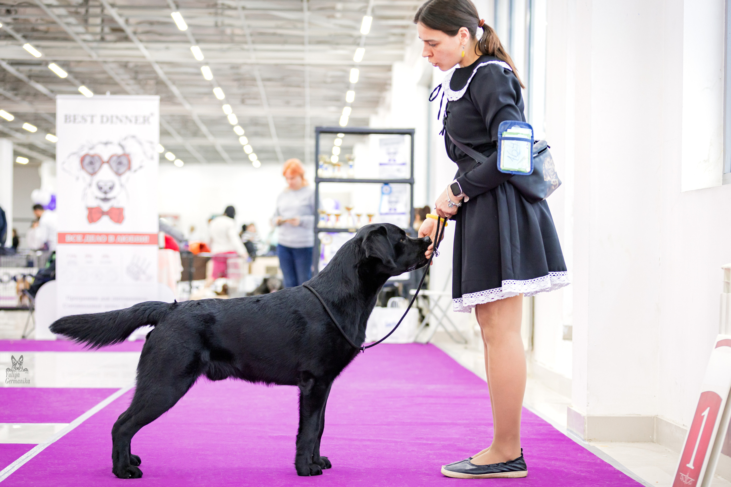 Можайский двор 11-12.02.2023. Фотограф-анималист Юлия Германика