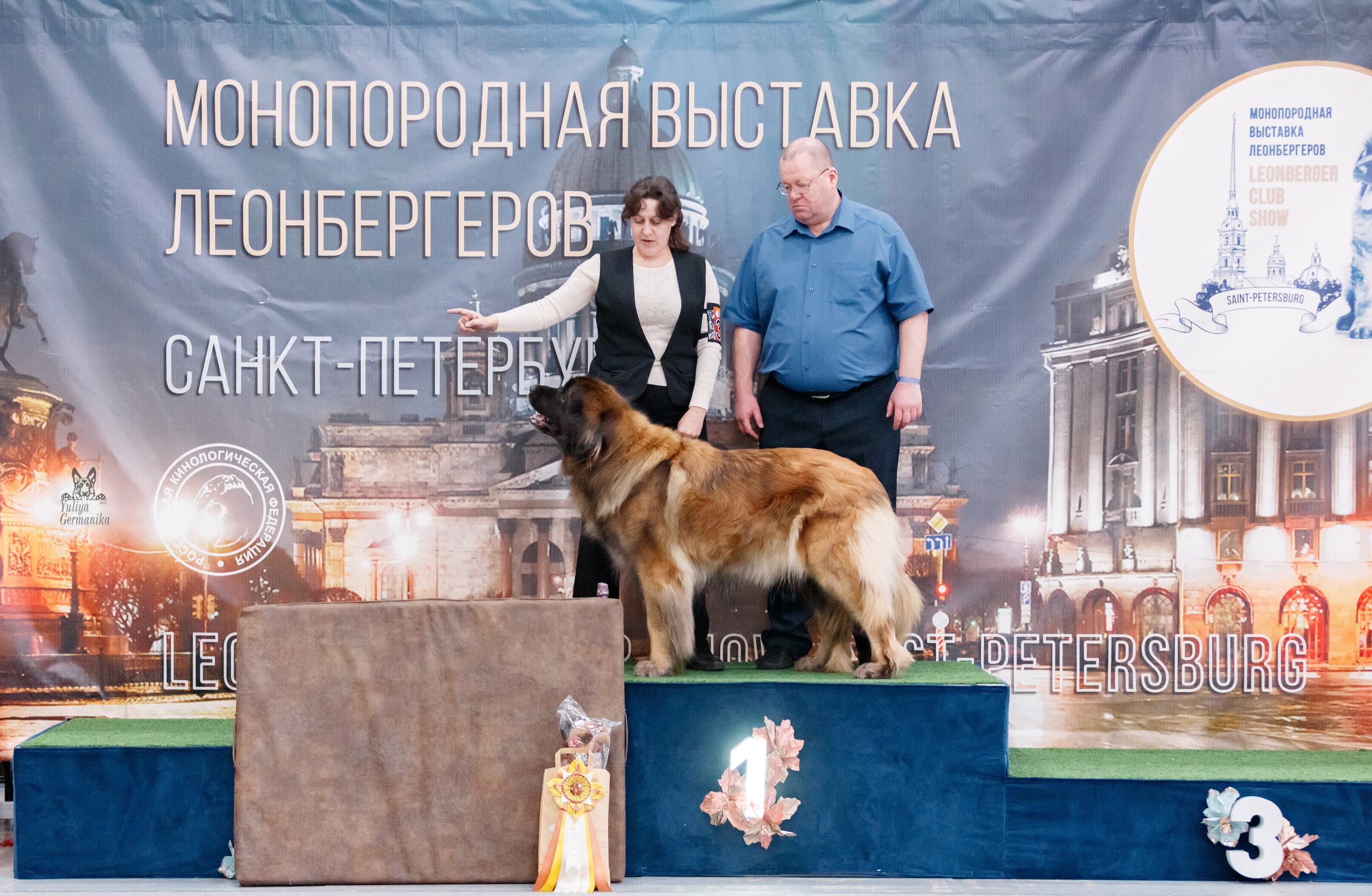 Питер 17-18.12.2022. Фотограф-анималист Юлия Германика