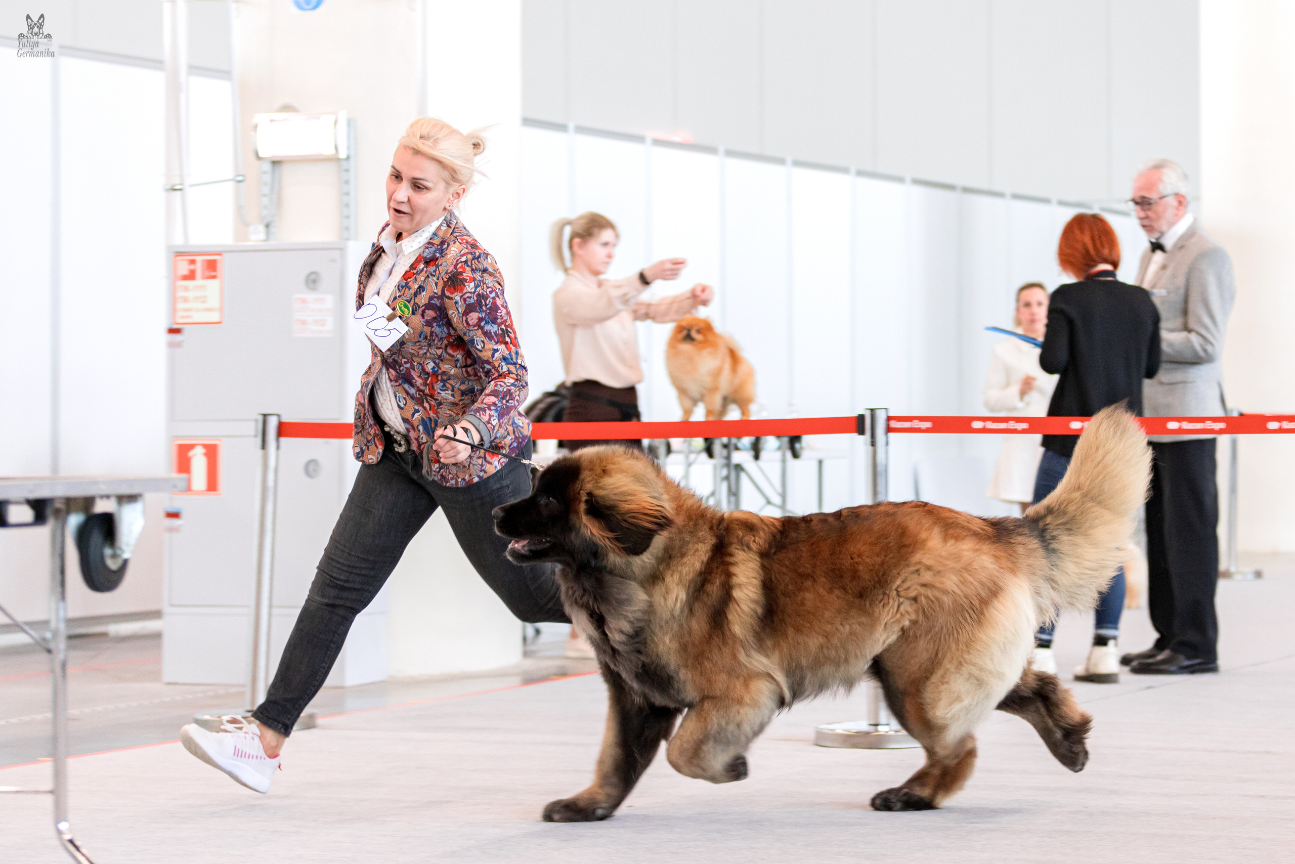 Казань 11.03.2023. Фотограф-анималист Юлия Германика