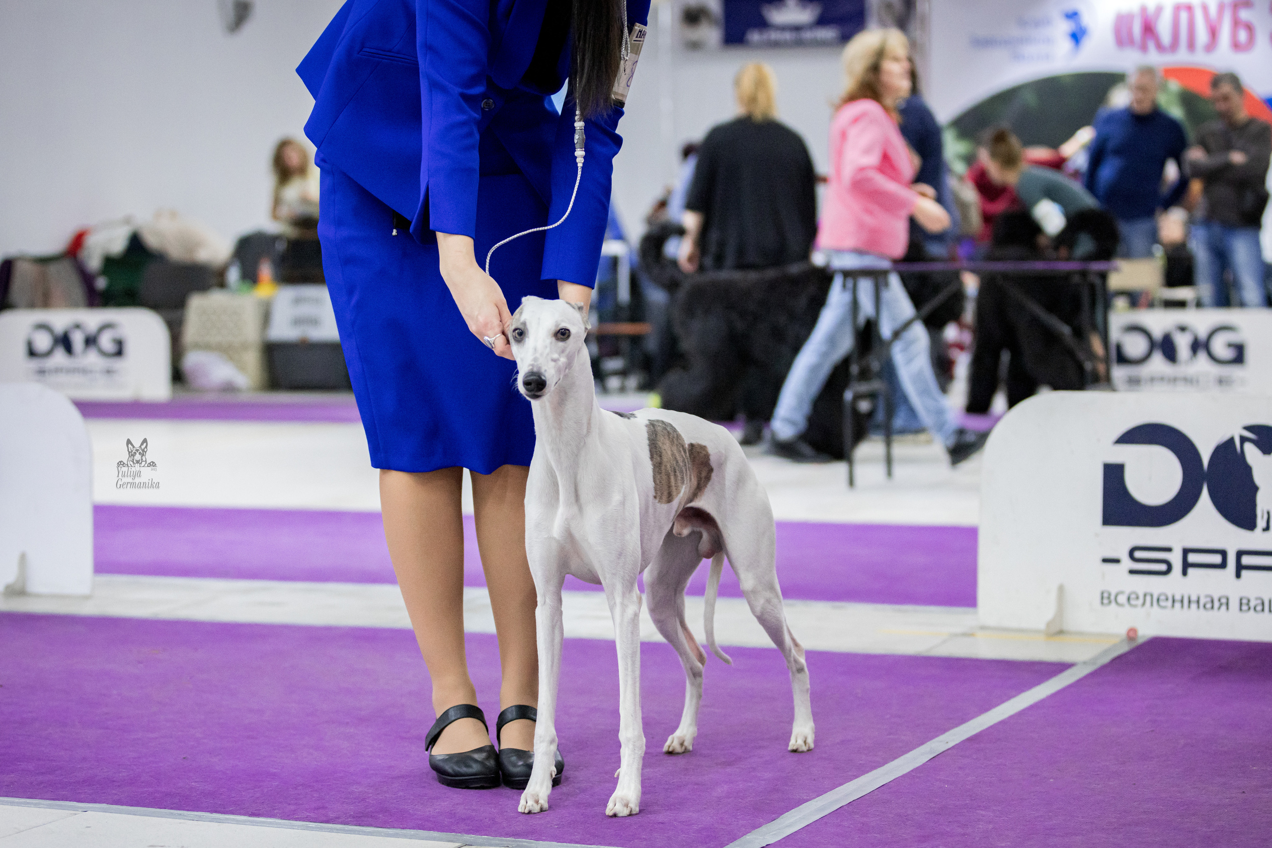 Чайна-Таун 5-8.01.2023. Фотограф-анималист Юлия Германика