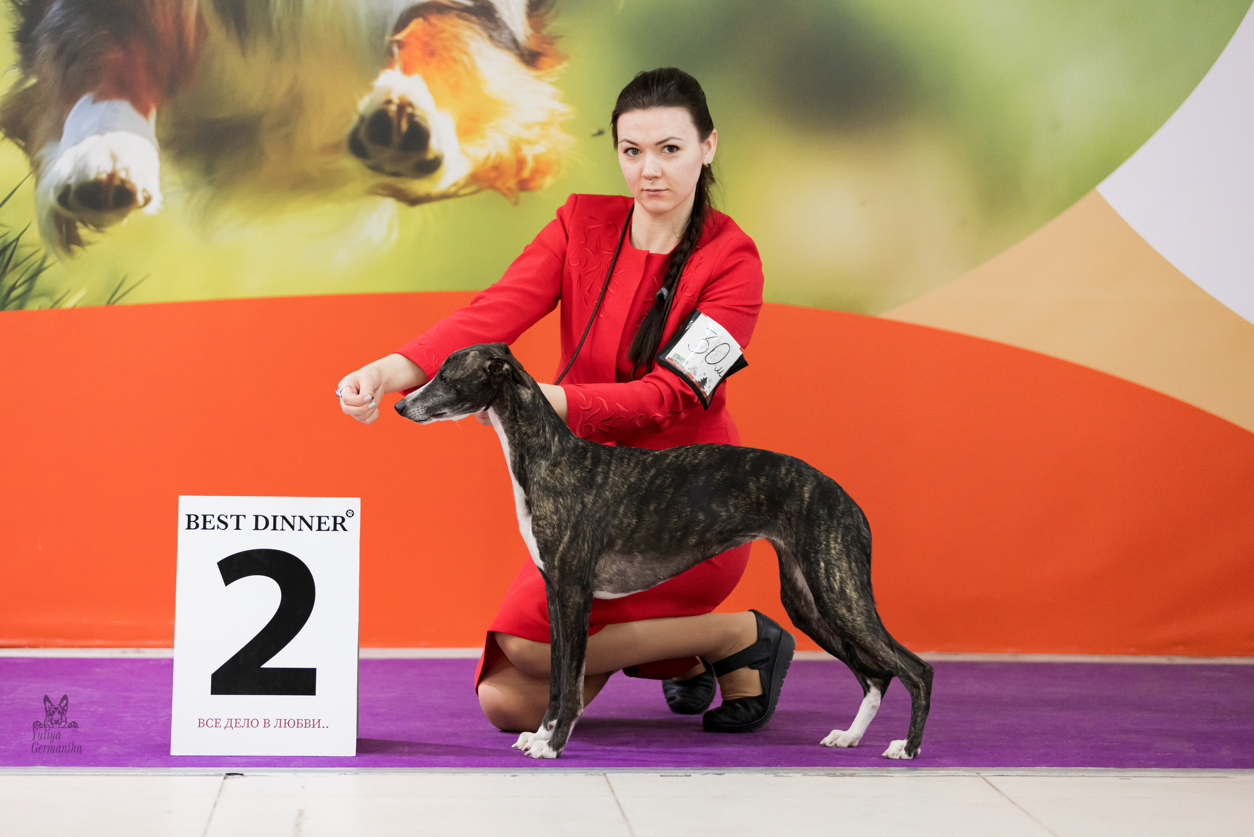 Чайна-Таун 5-8.01.2023. Фотограф-анималист Юлия Германика