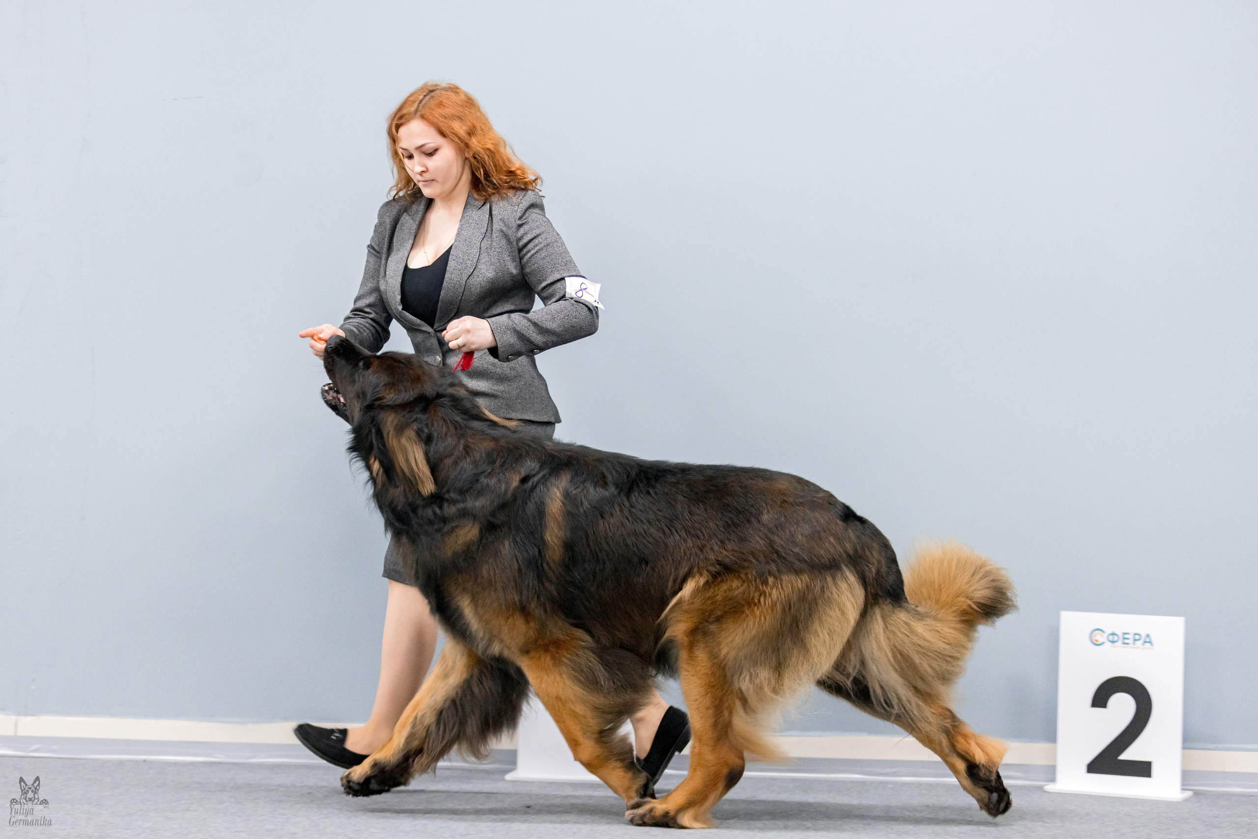 Сфера 5.03.2023. Фотограф-анималист Юлия Германика