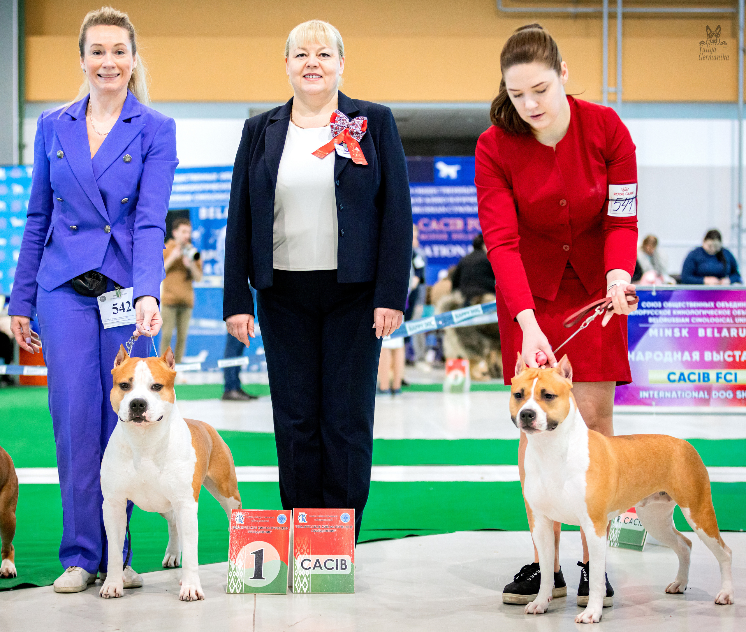 Минск 25-26.02.2023. Фотограф-анималист Юлия Германика