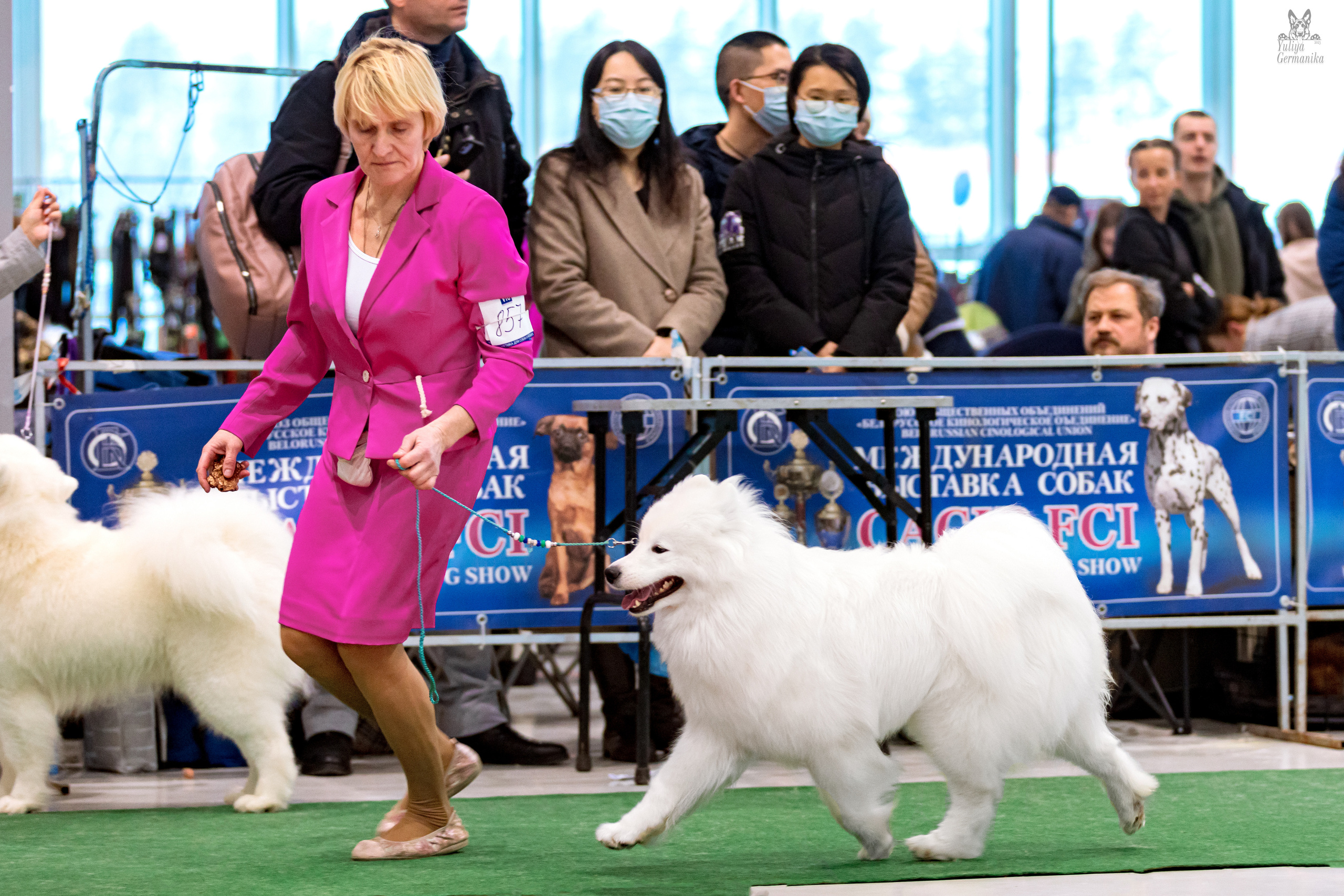 Минск 25-26.02.2023. Фотограф-анималист Юлия Германика