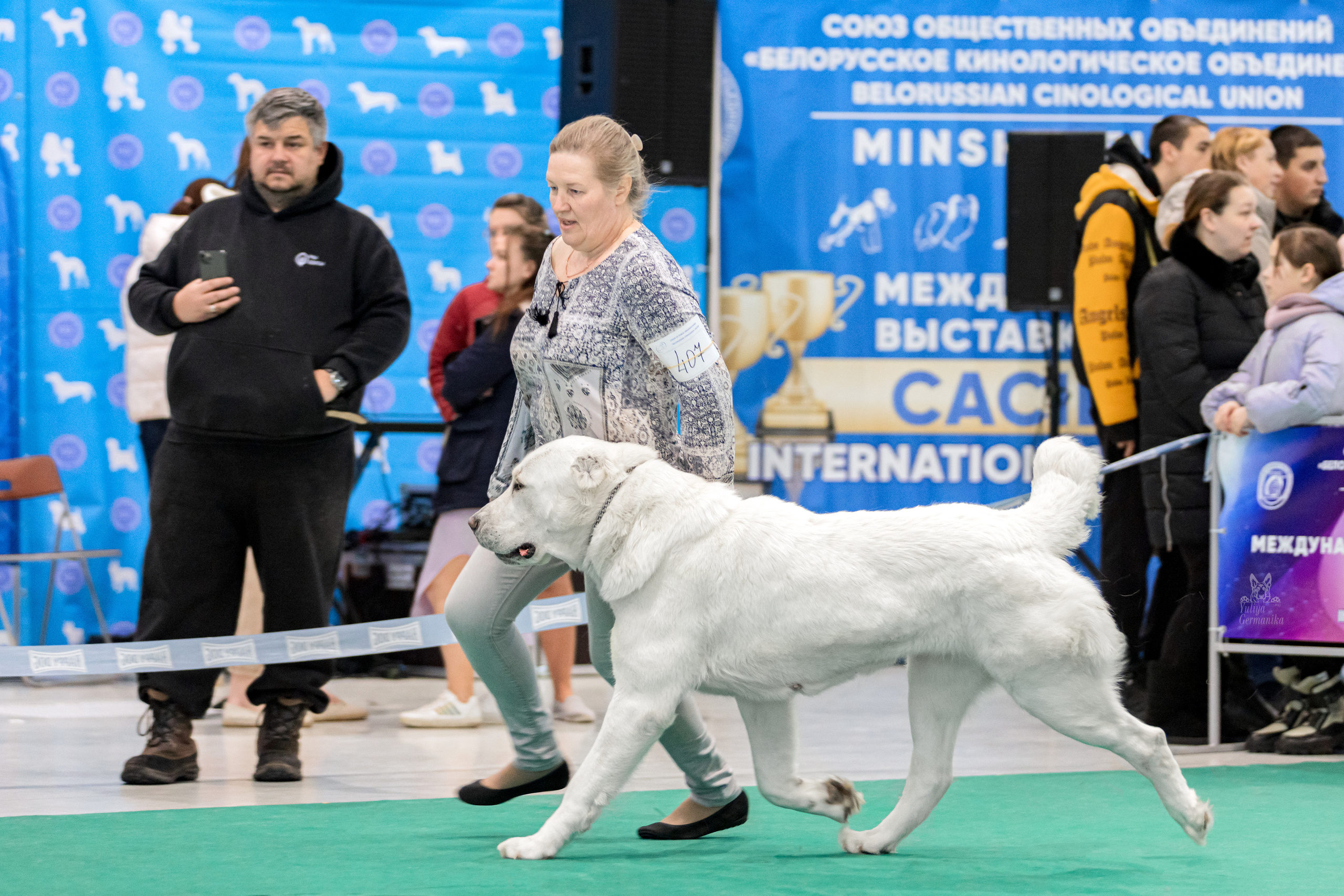 Минск 25-26.02.2023. Фотограф-анималист Юлия Германика