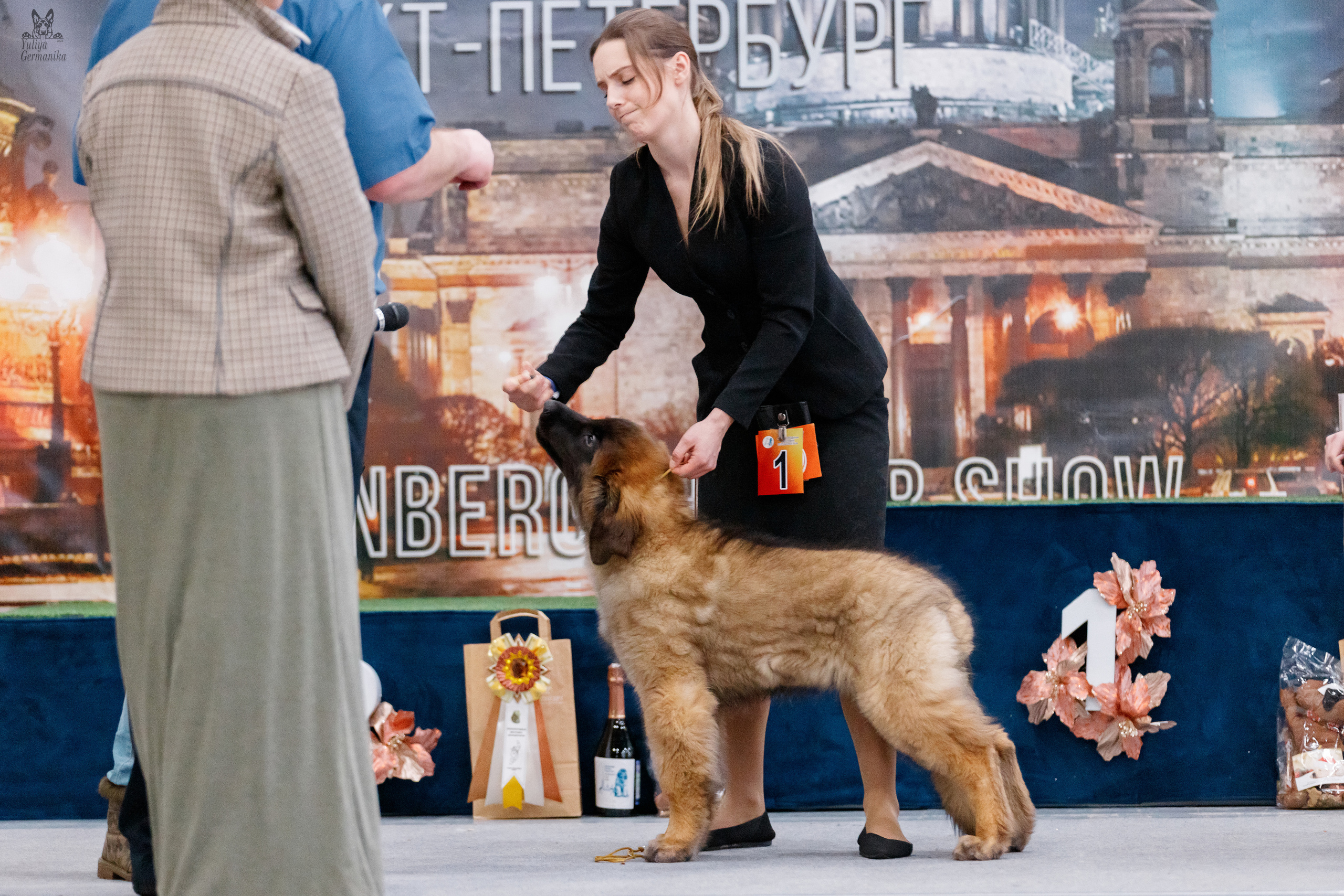 Питер 17-18.12.2022. Фотограф-анималист Юлия Германика