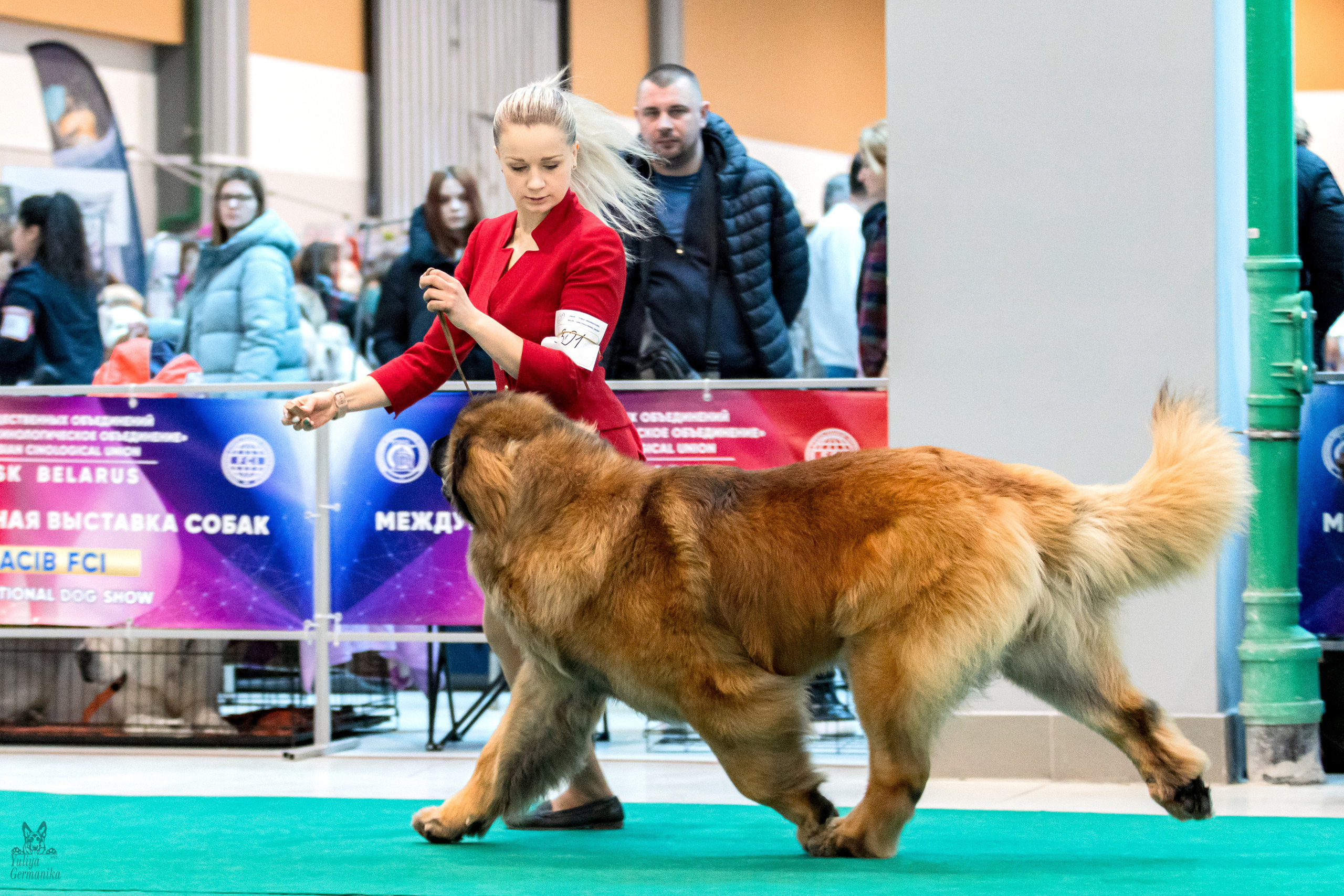 Минск 25-26.02.2023. Фотограф-анималист Юлия Германика