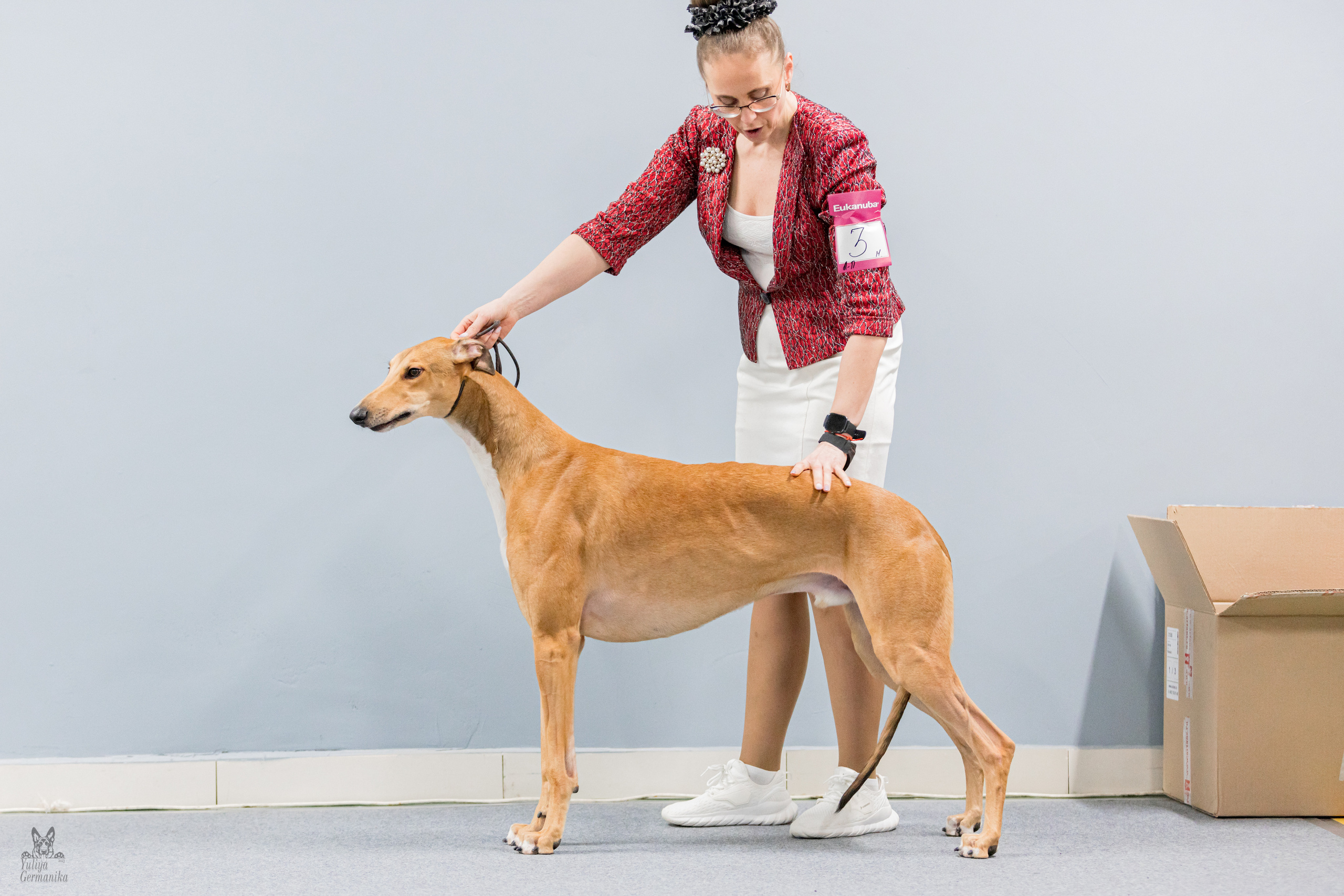 Сфера 5.03.2023. Фотограф-анималист Юлия Германика