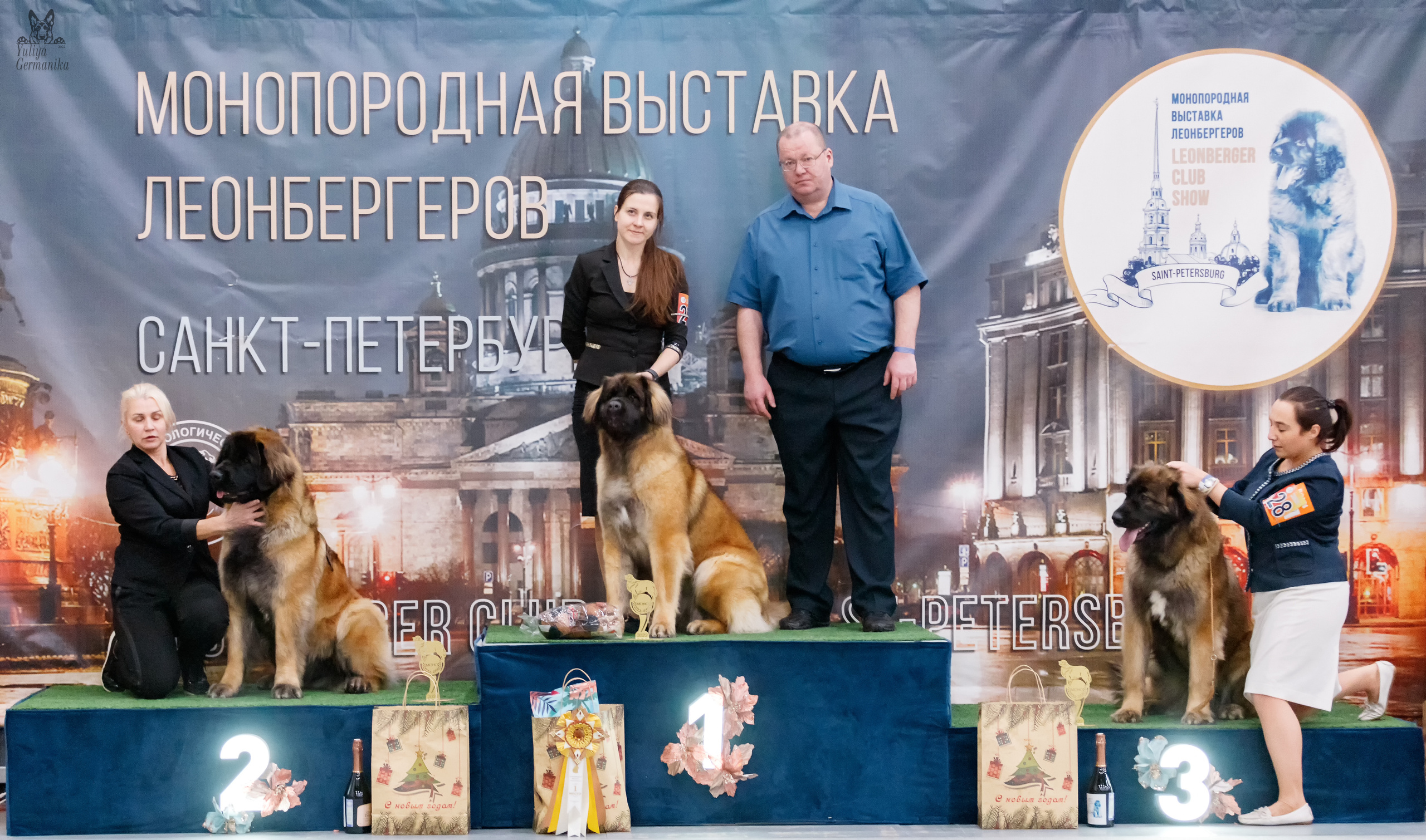 Питер 17-18.12.2022. Фотограф-анималист Юлия Германика