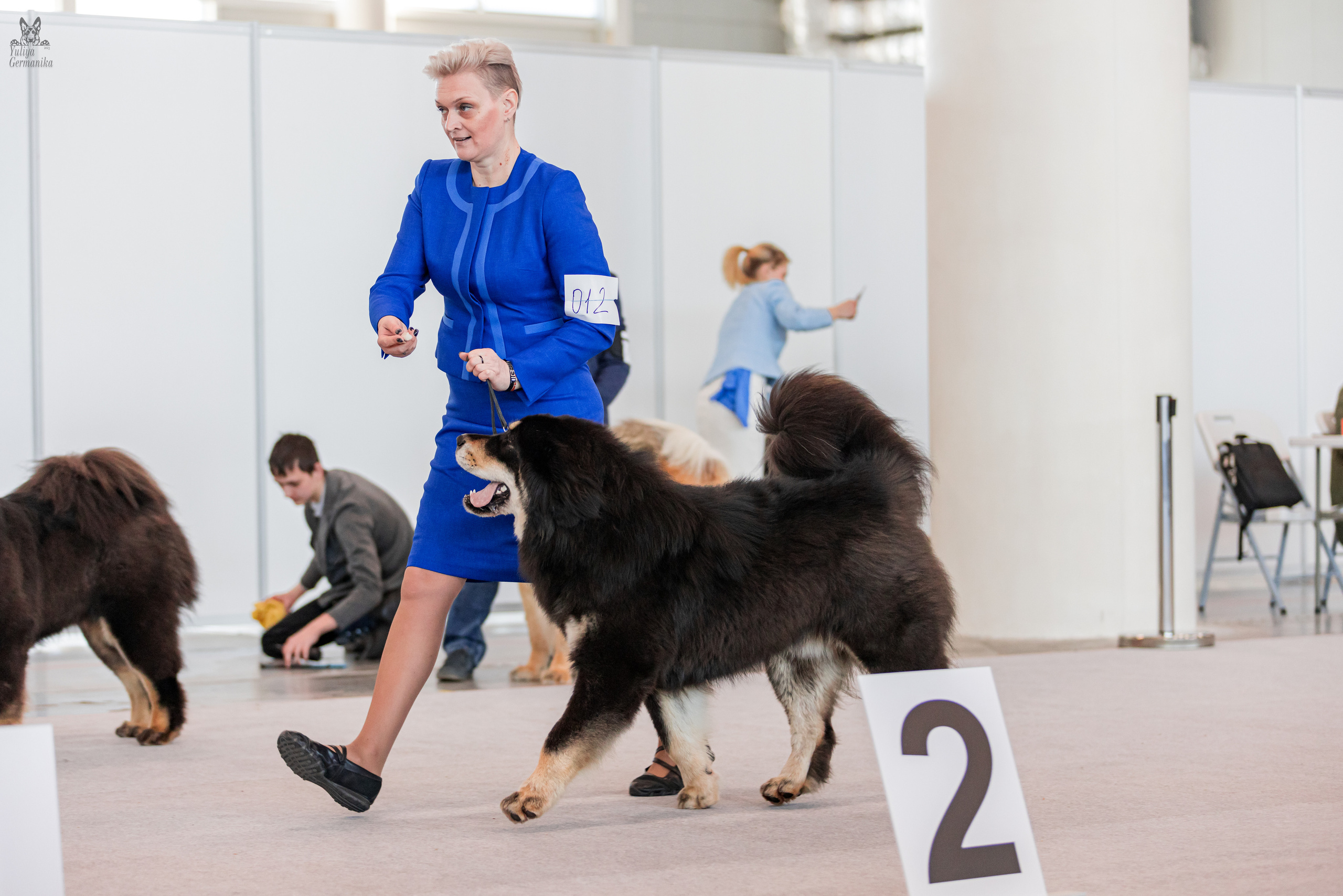 Казань 11.03.2023. Фотограф-анималист Юлия Германика