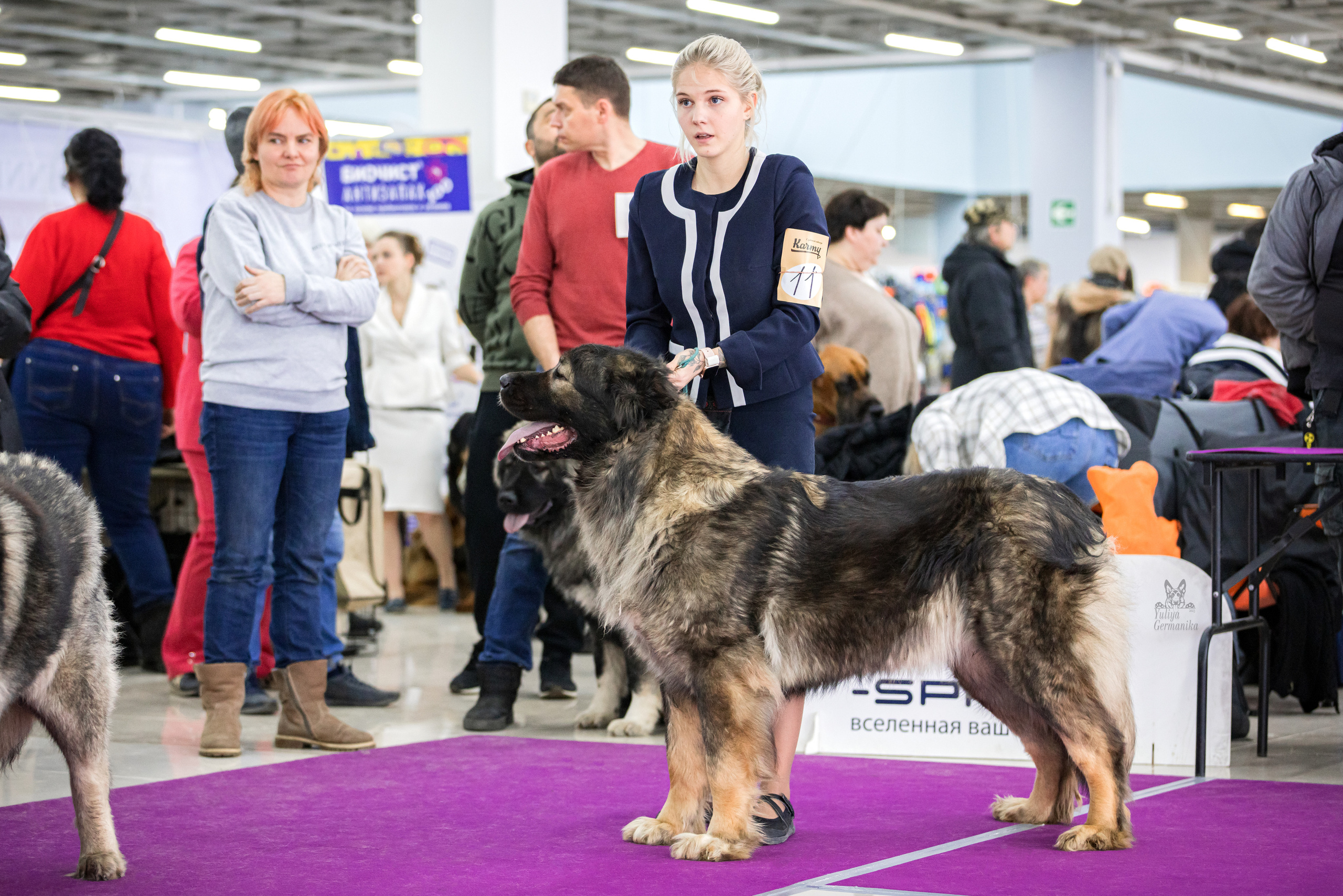 Можайский двор 11-12.02.2023. Фотограф-анималист Юлия Германика