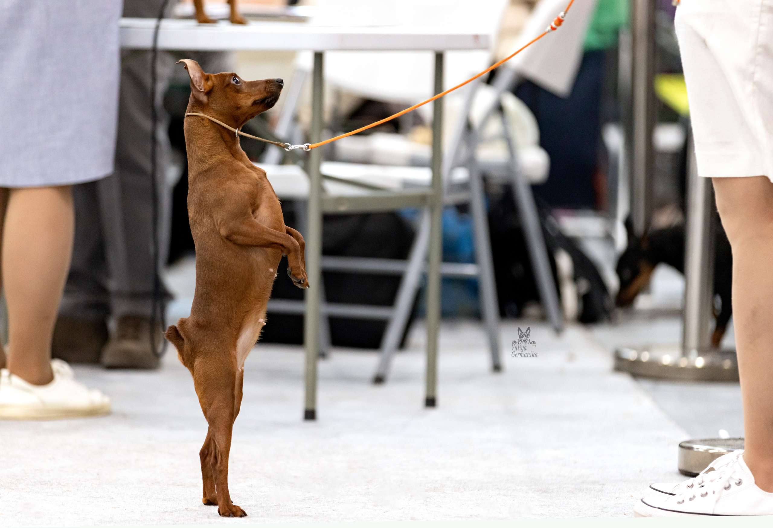 Сабанеевка,Казань 28-29.01.2023. Фотограф-анималист Юлия Германика