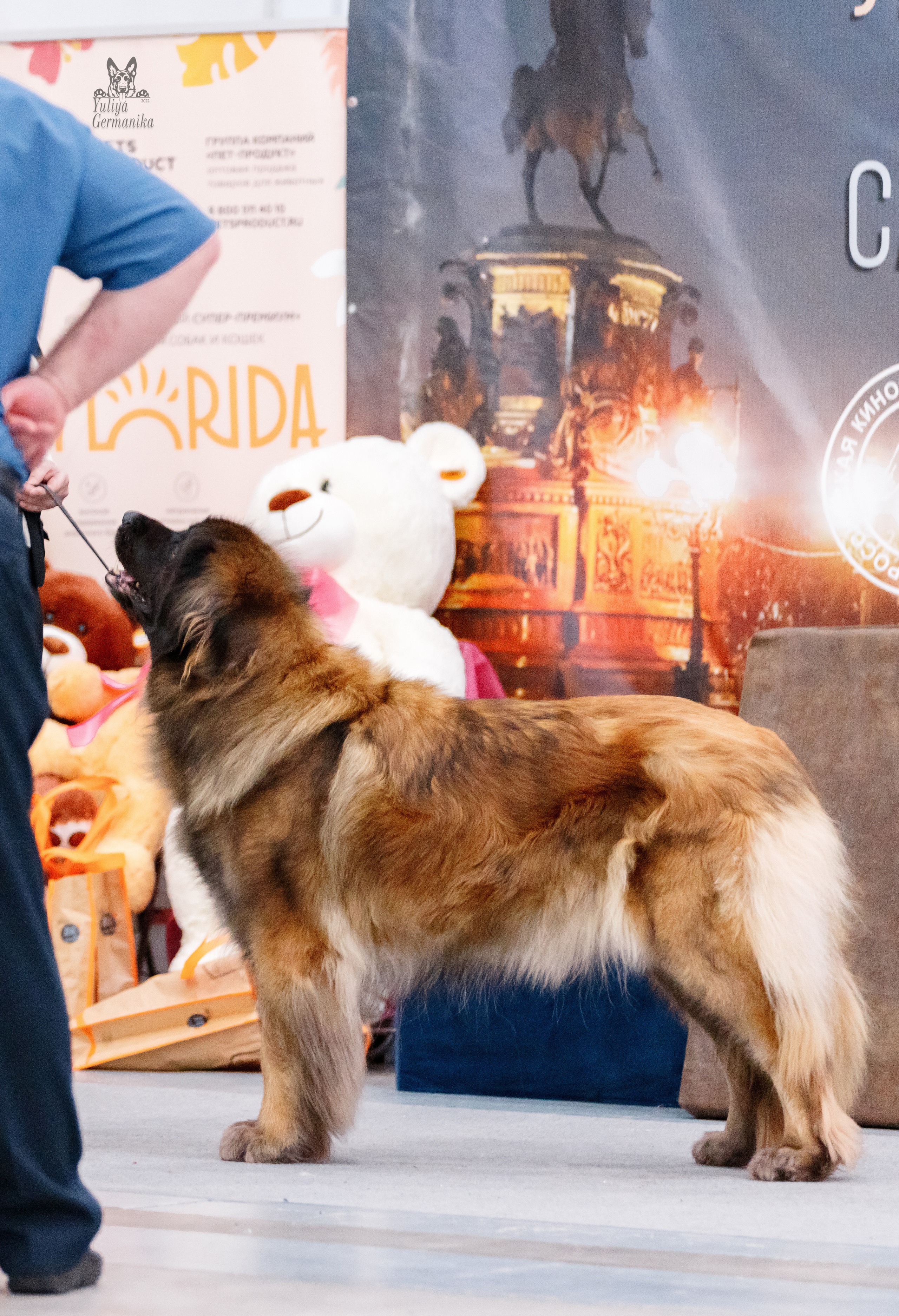 Питер 17-18.12.2022. Фотограф-анималист Юлия Германика