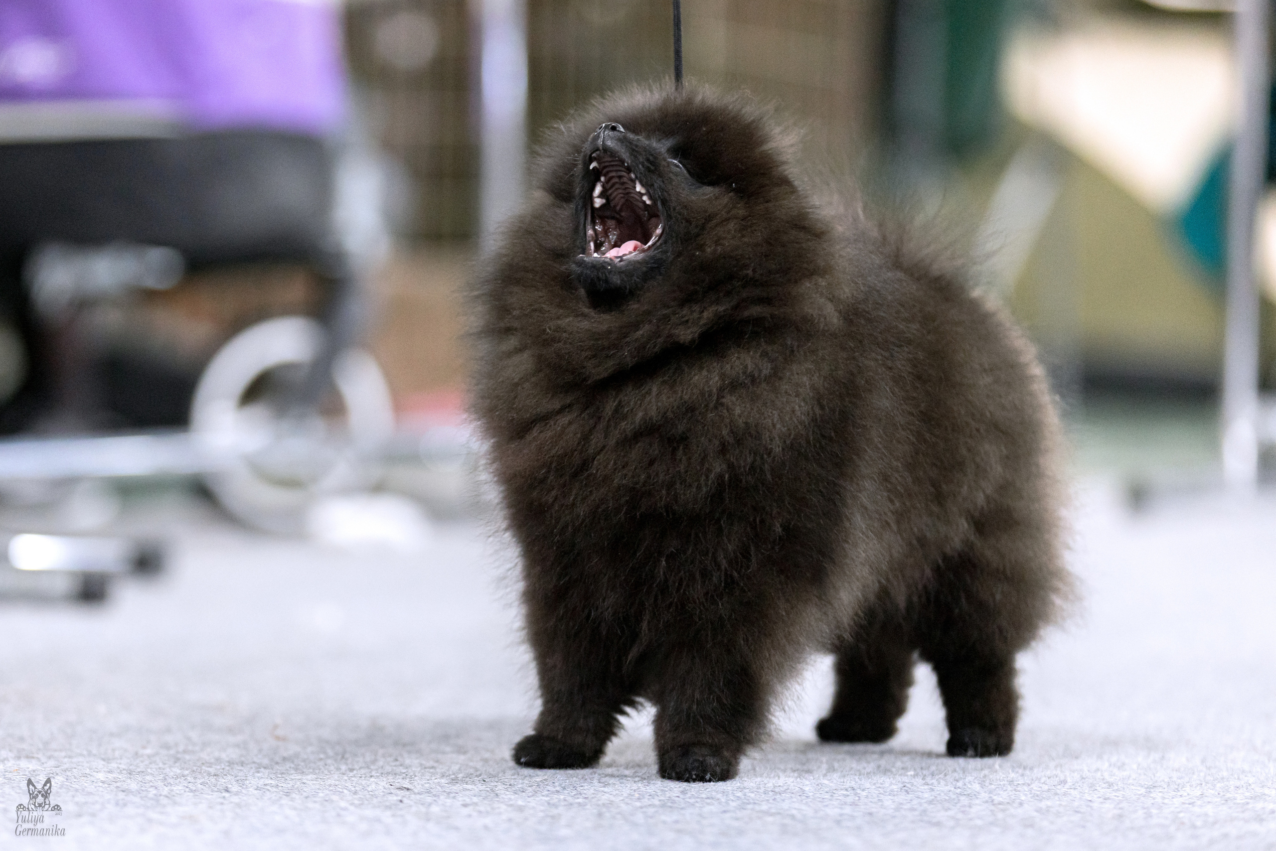 Сфера 5.03.2023