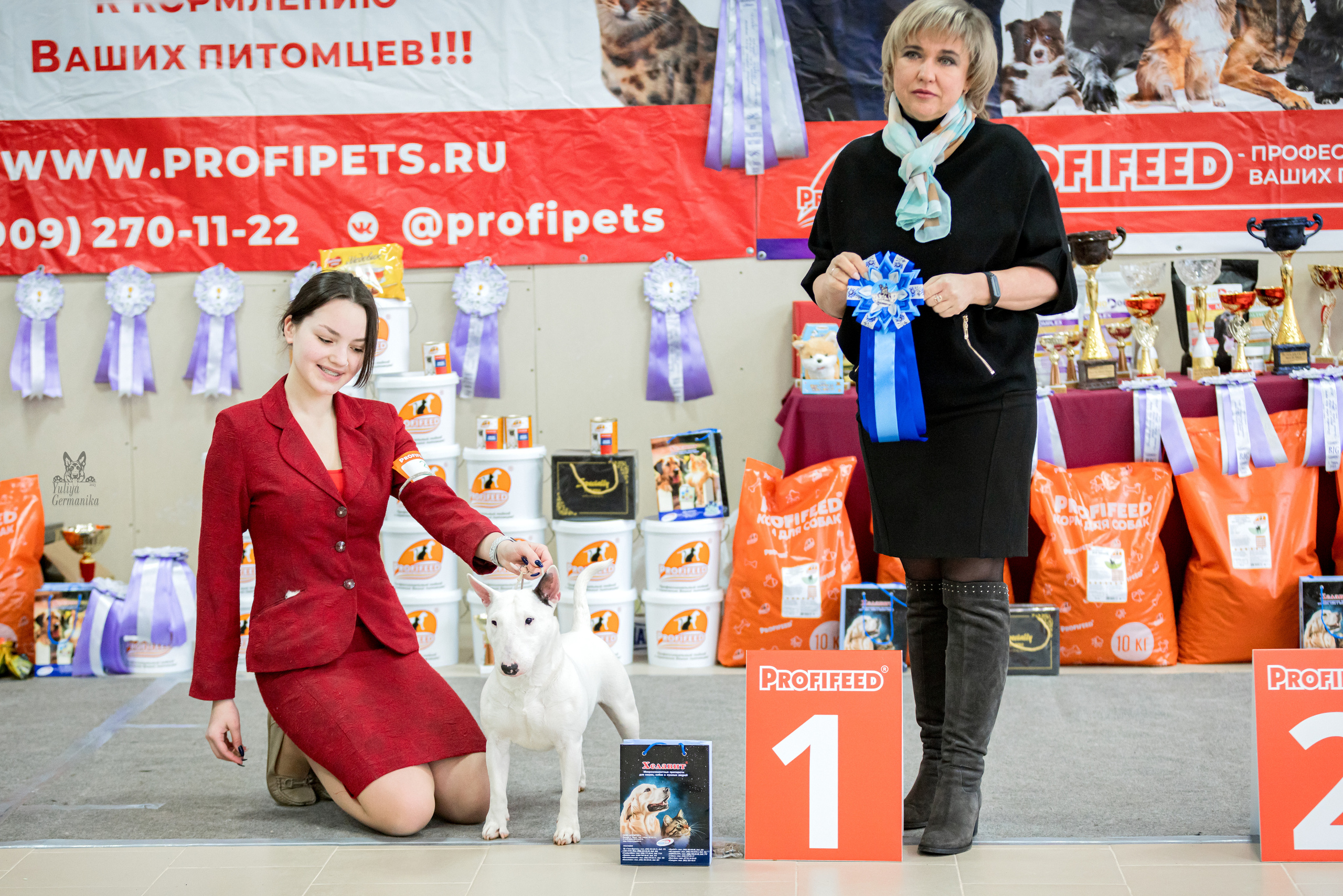 Тверь 19.02.2023. Фотограф-анималист Юлия Германика