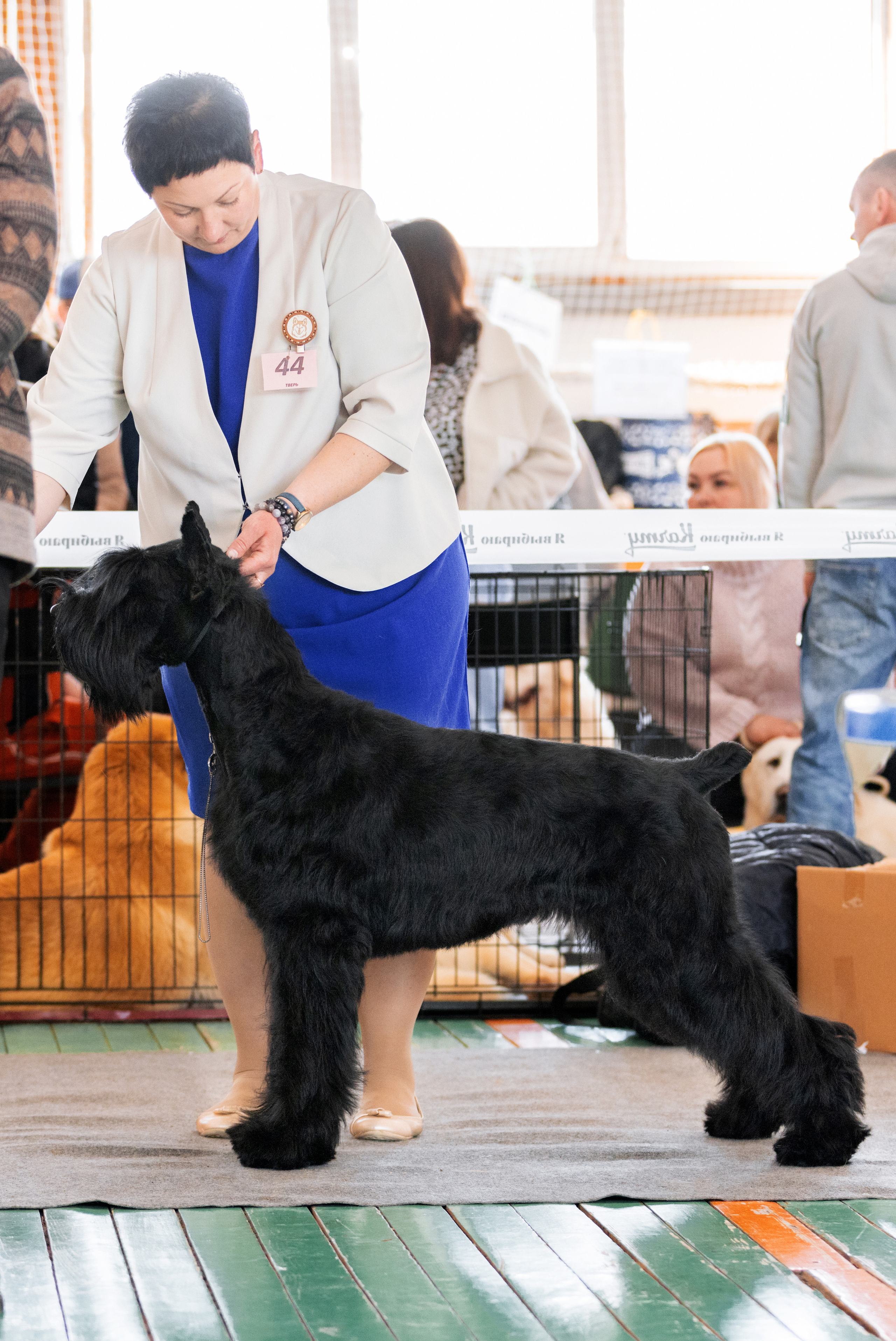 Тверь 19.03.2023. Фотограф-анималист Юлия Германика