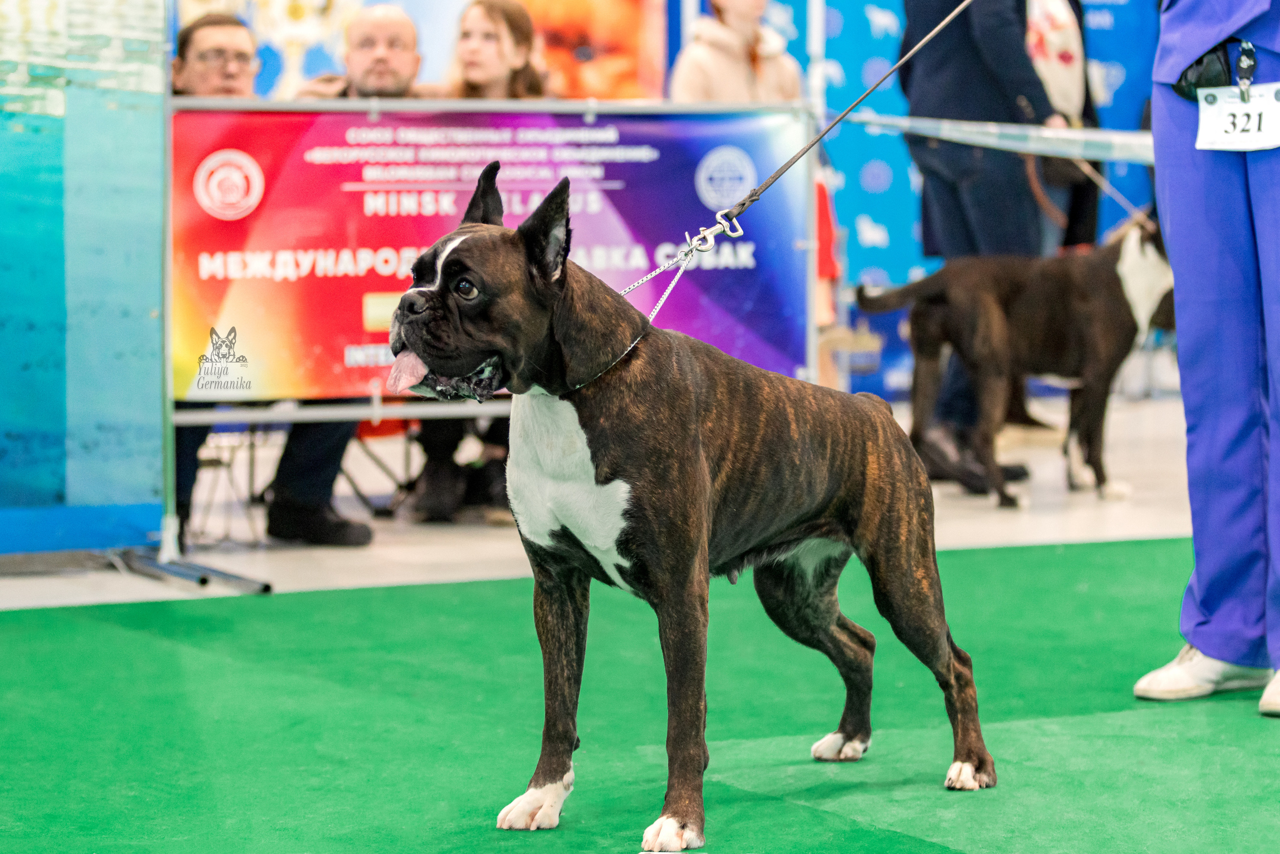 Минск 25-26.02.2023. Фотограф-анималист Юлия Германика