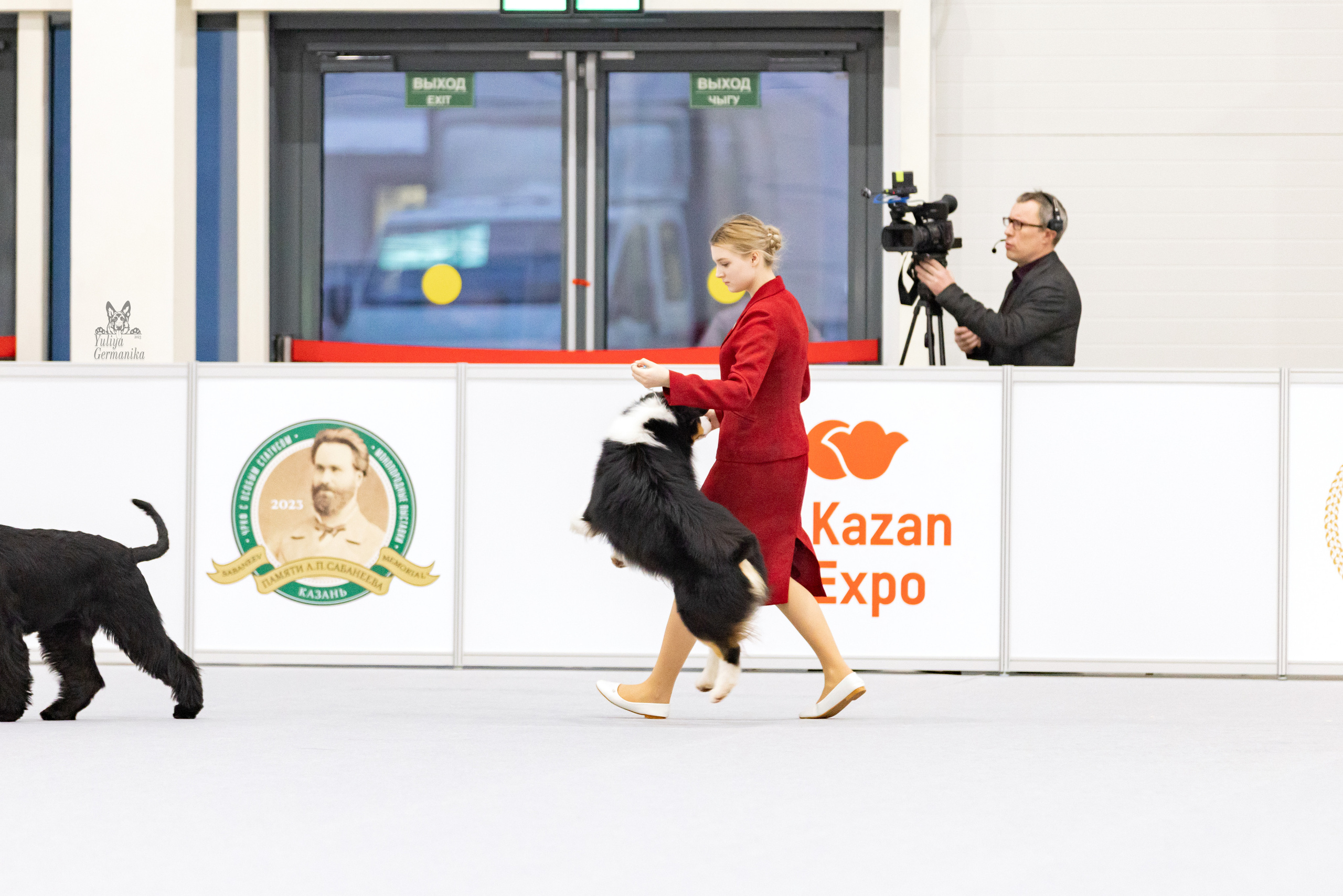 Сабанеевка,Казань 28-29.01.2023. Фотограф-анималист Юлия Германика