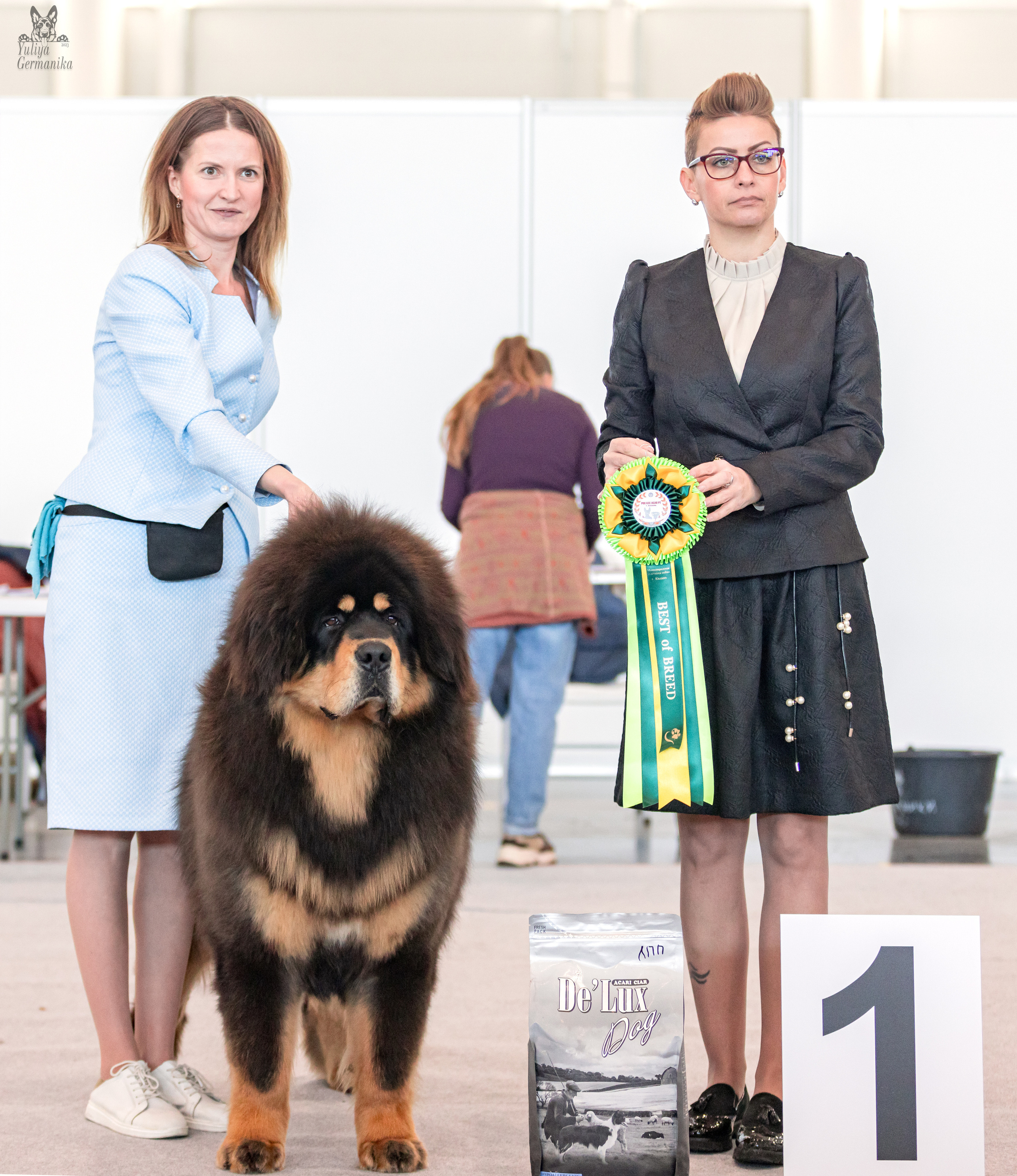 Казань 11.03.2023. Фотограф-анималист Юлия Германика