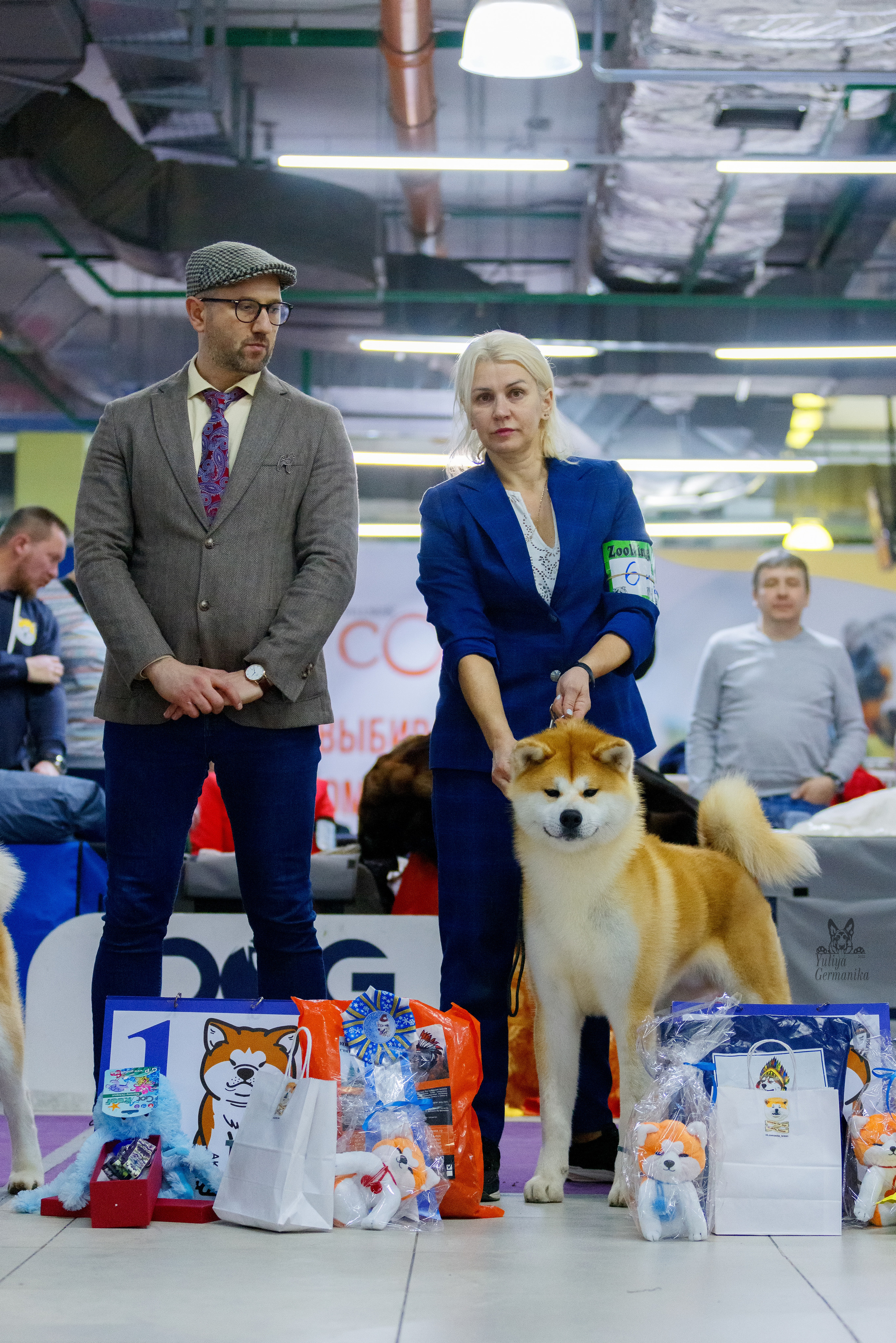 Чайна-Таун 3 и 10.12.2022. Фотограф-анималист Юлия Германика