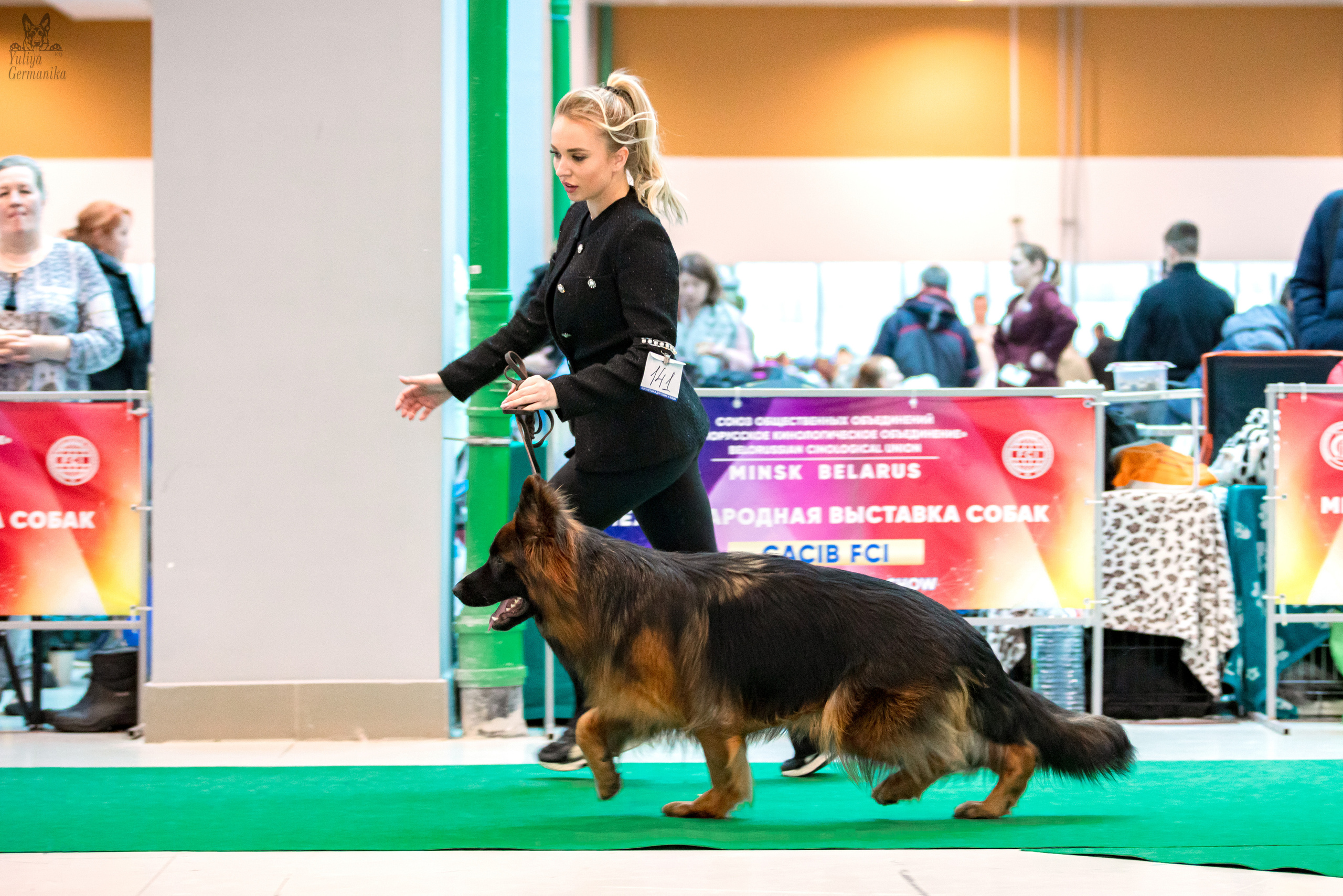 Минск 25-26.02.2023. Фотограф-анималист Юлия Германика