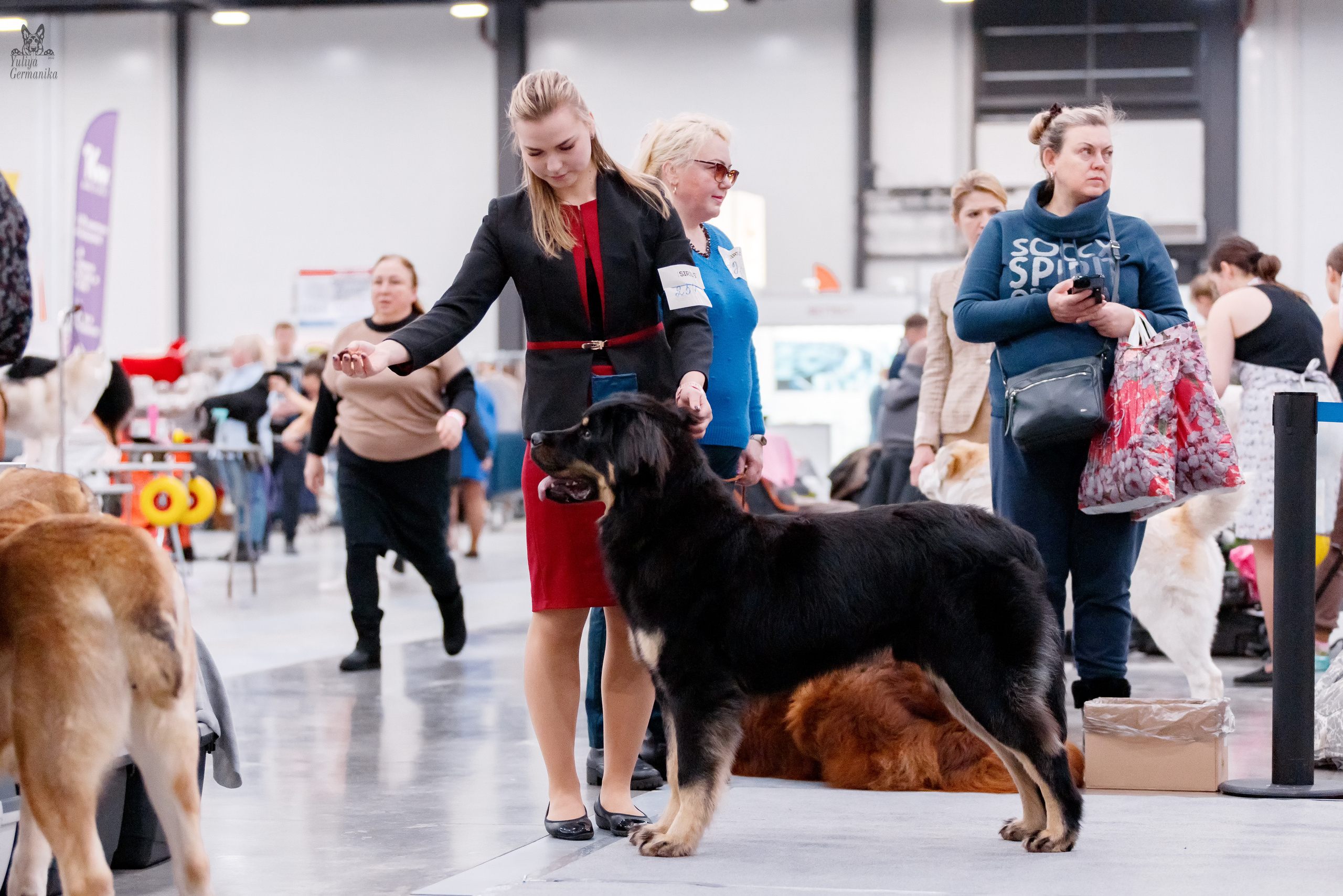 Питер 17-18.12.2022. Фотограф-анималист Юлия Германика