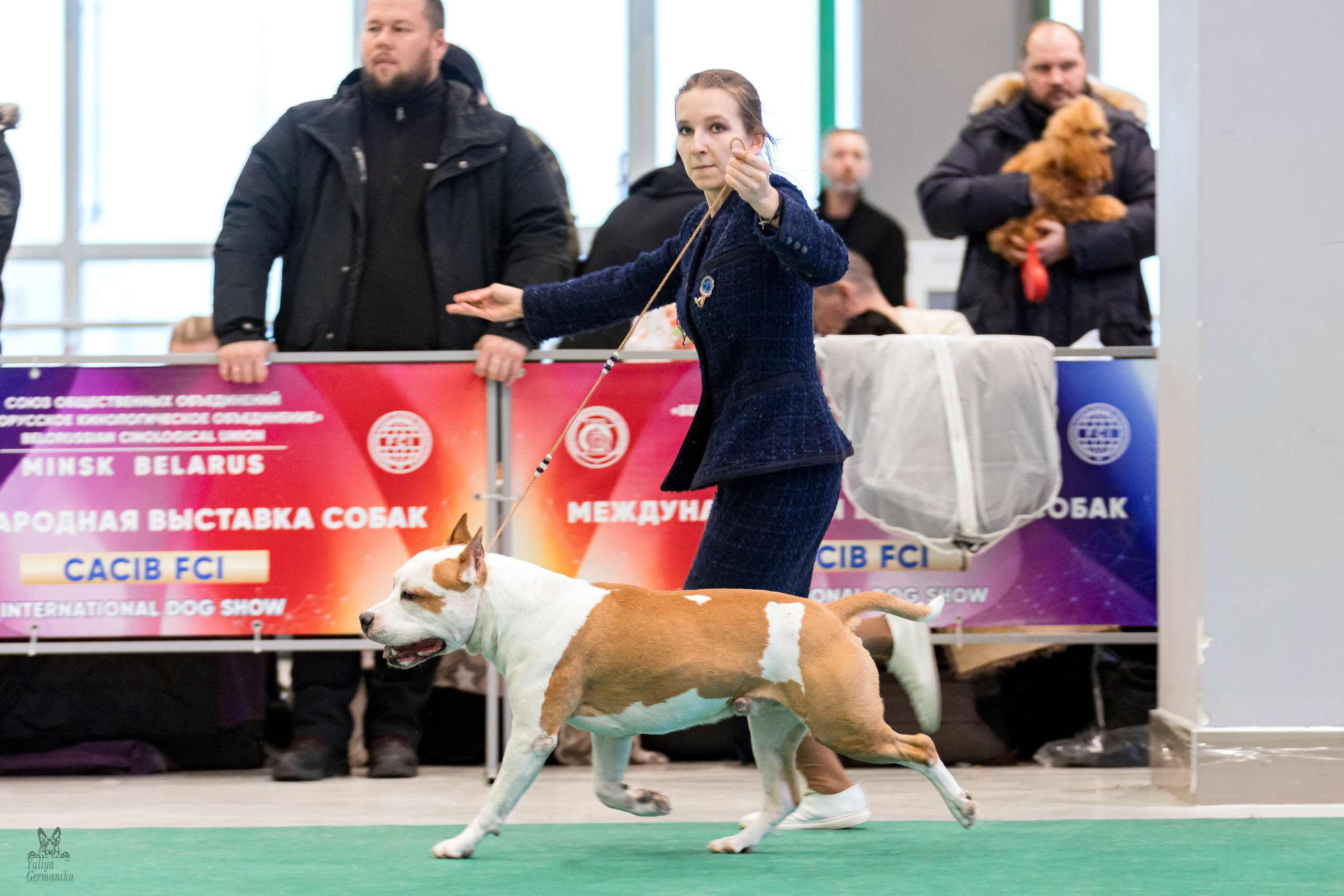 Минск 25-26.02.2023. Фотограф-анималист Юлия Германика