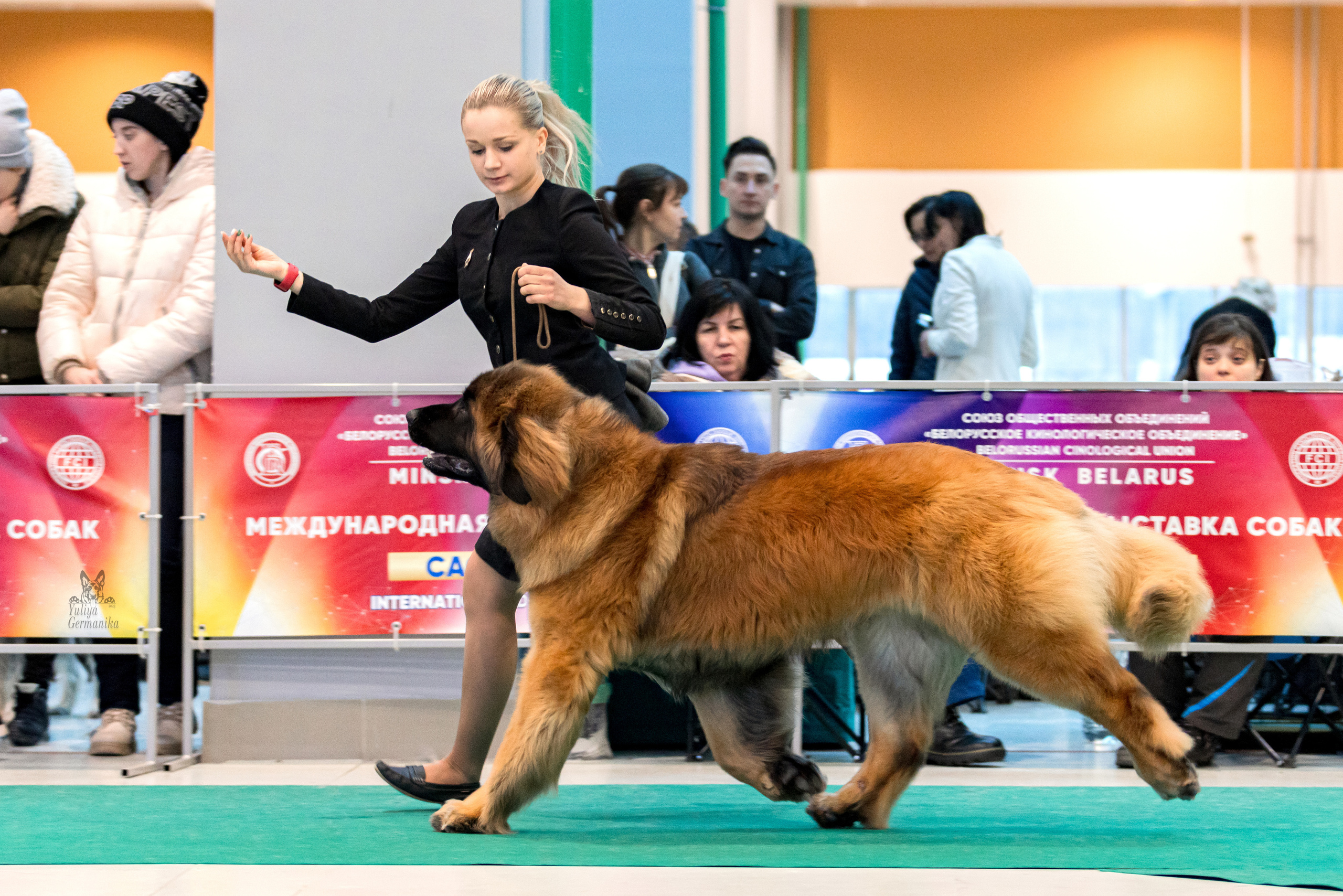 Минск 25-26.02.2023. Фотограф-анималист Юлия Германика
