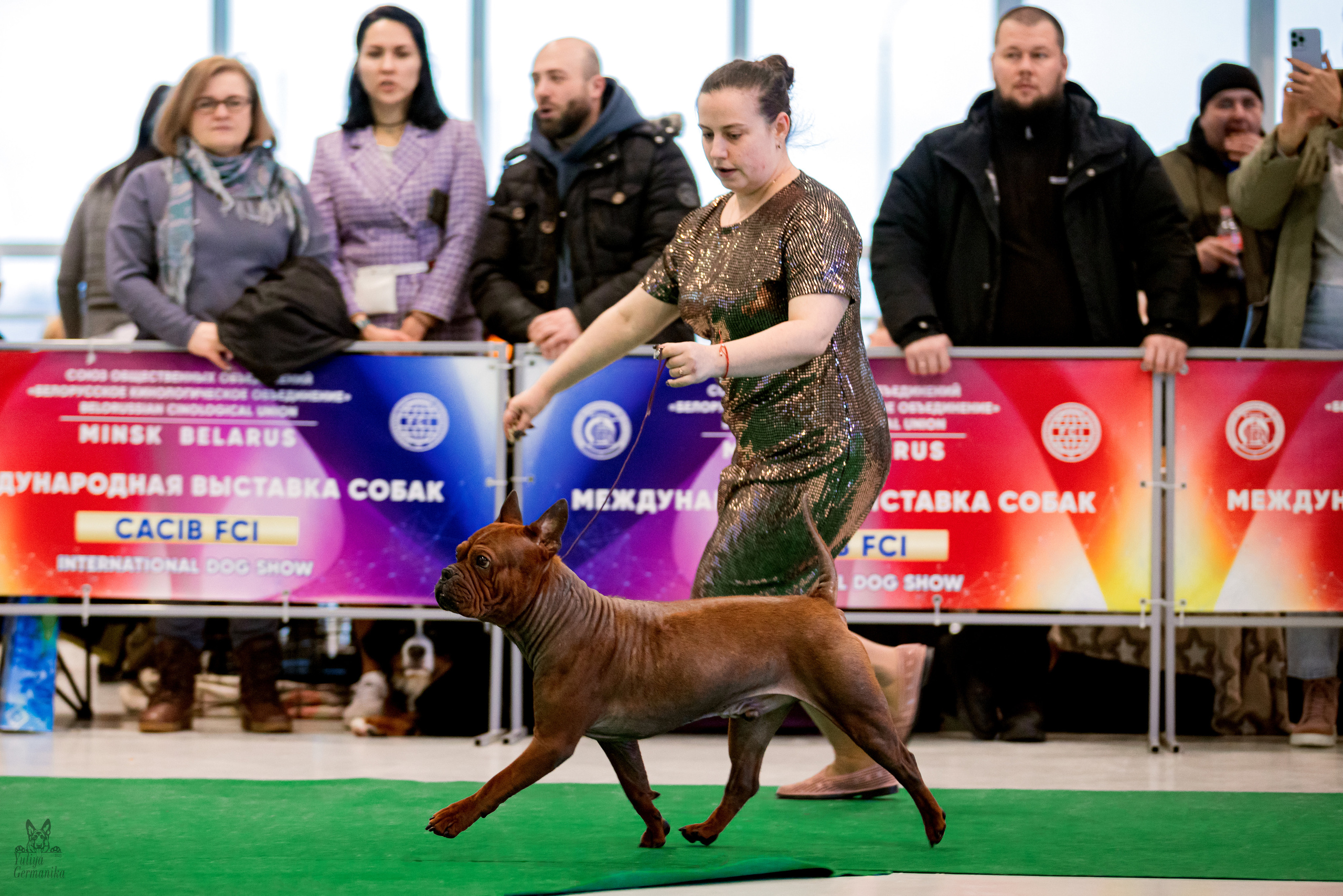Минск 25-26.02.2023. Фотограф-анималист Юлия Германика