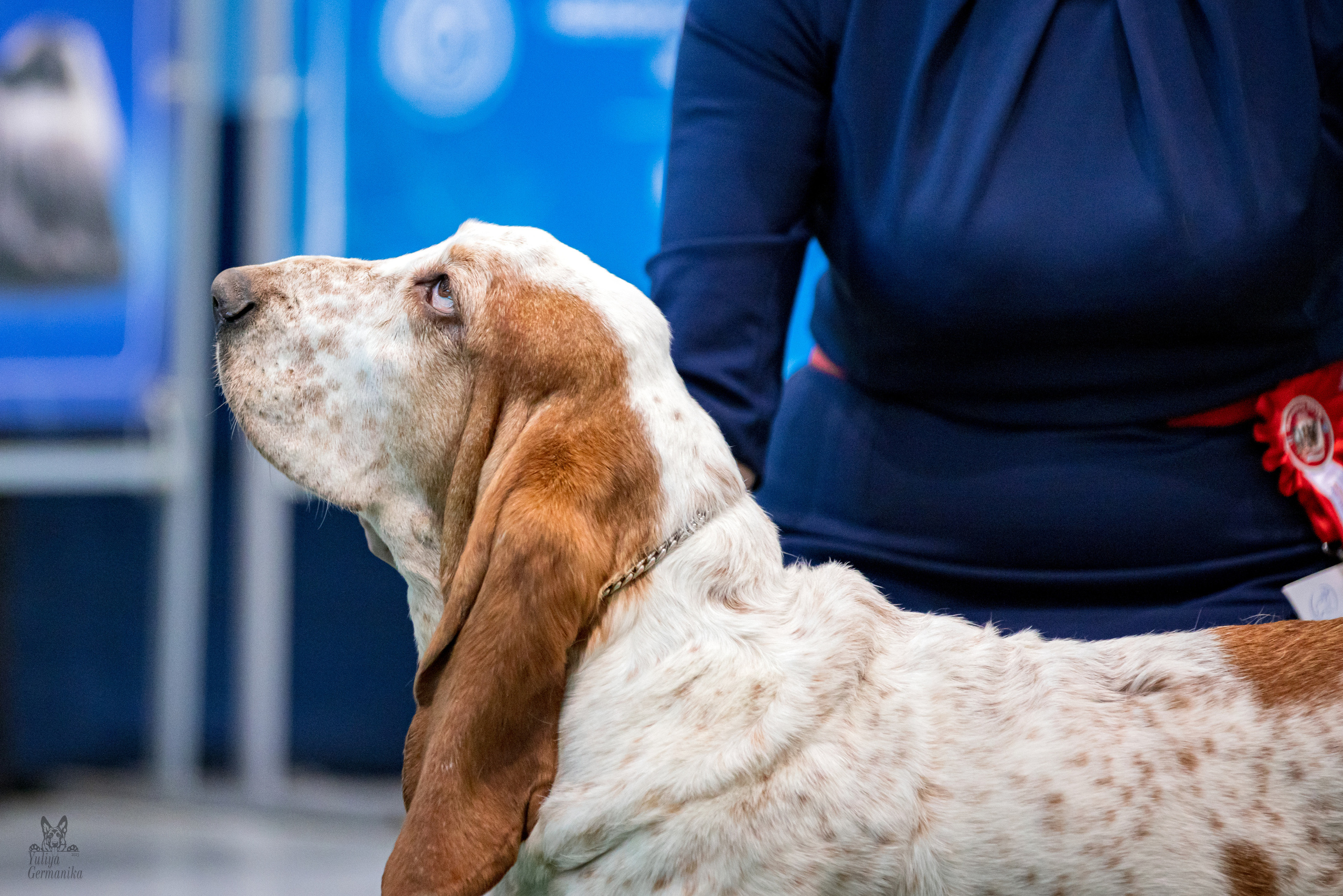 Минск 25-26.02.2023. Фотограф-анималист Юлия Германика