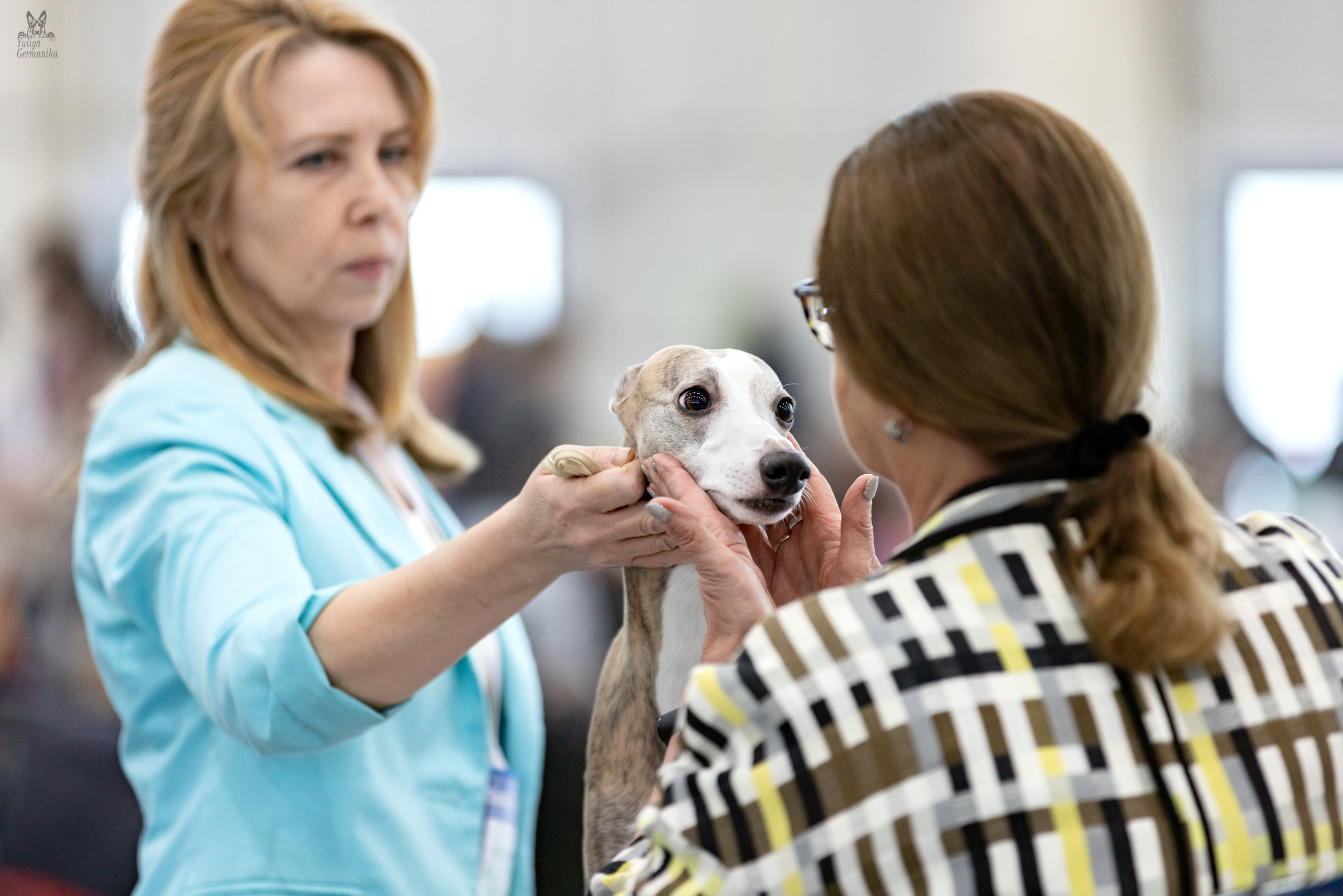 Сабанеевка,Казань 28-29.01.2023. Фотограф-анималист Юлия Германика