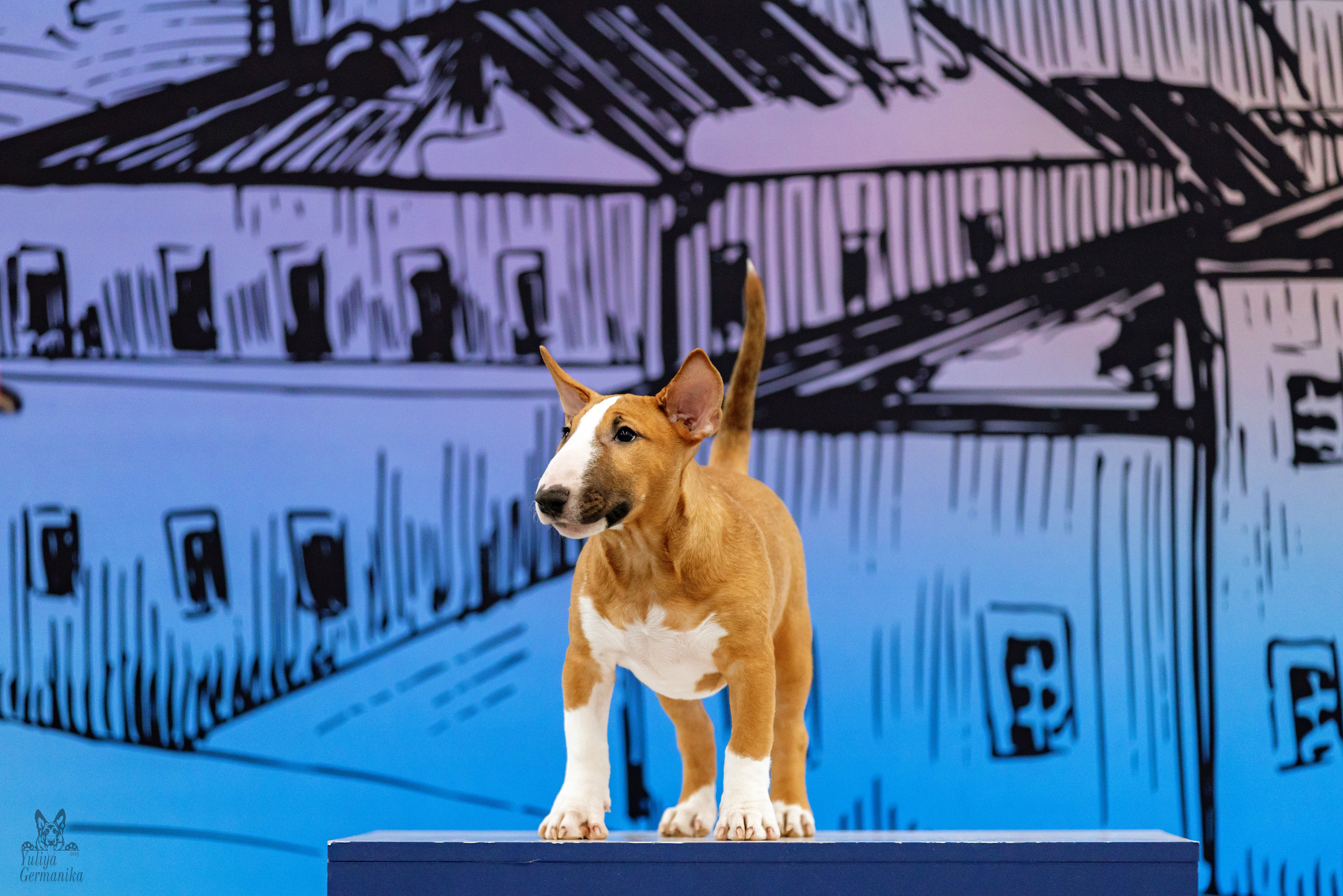 Сабанеевка,Казань 28-29.01.2023. Фотограф-анималист Юлия Германика