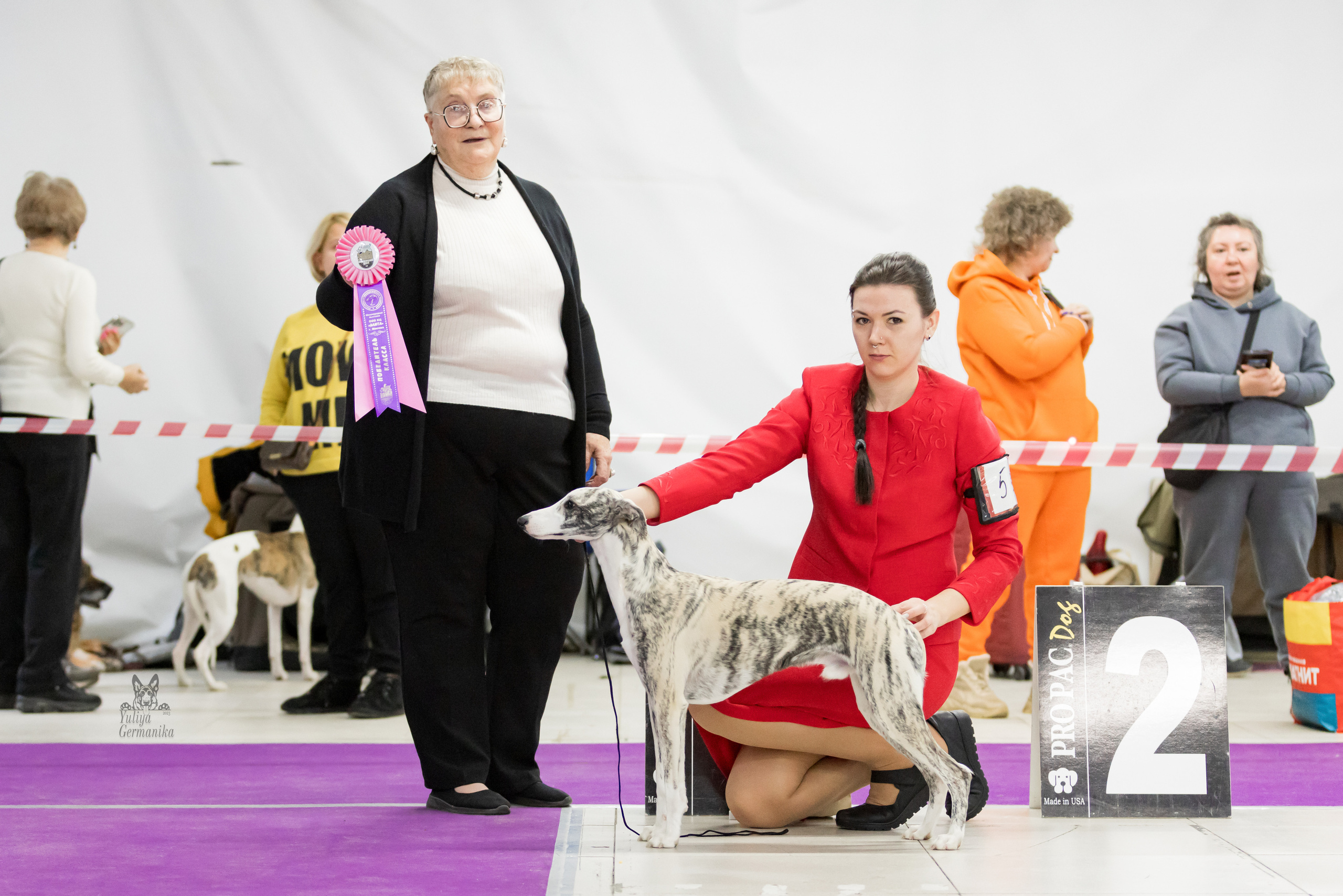 Чайна-Таун 5-8.01.2023. Фотограф-анималист Юлия Германика