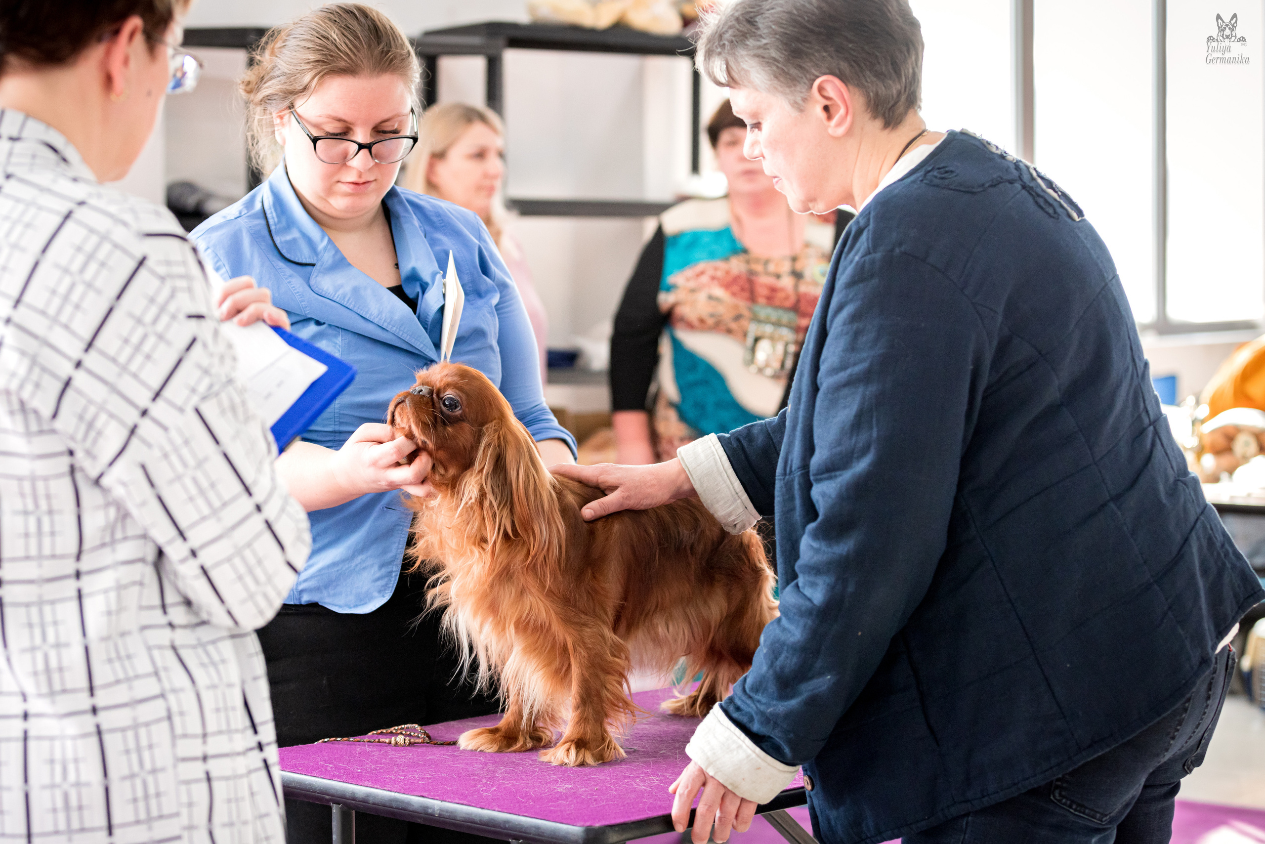 Можайский двор 11-12.02.2023. Фотограф-анималист Юлия Германика