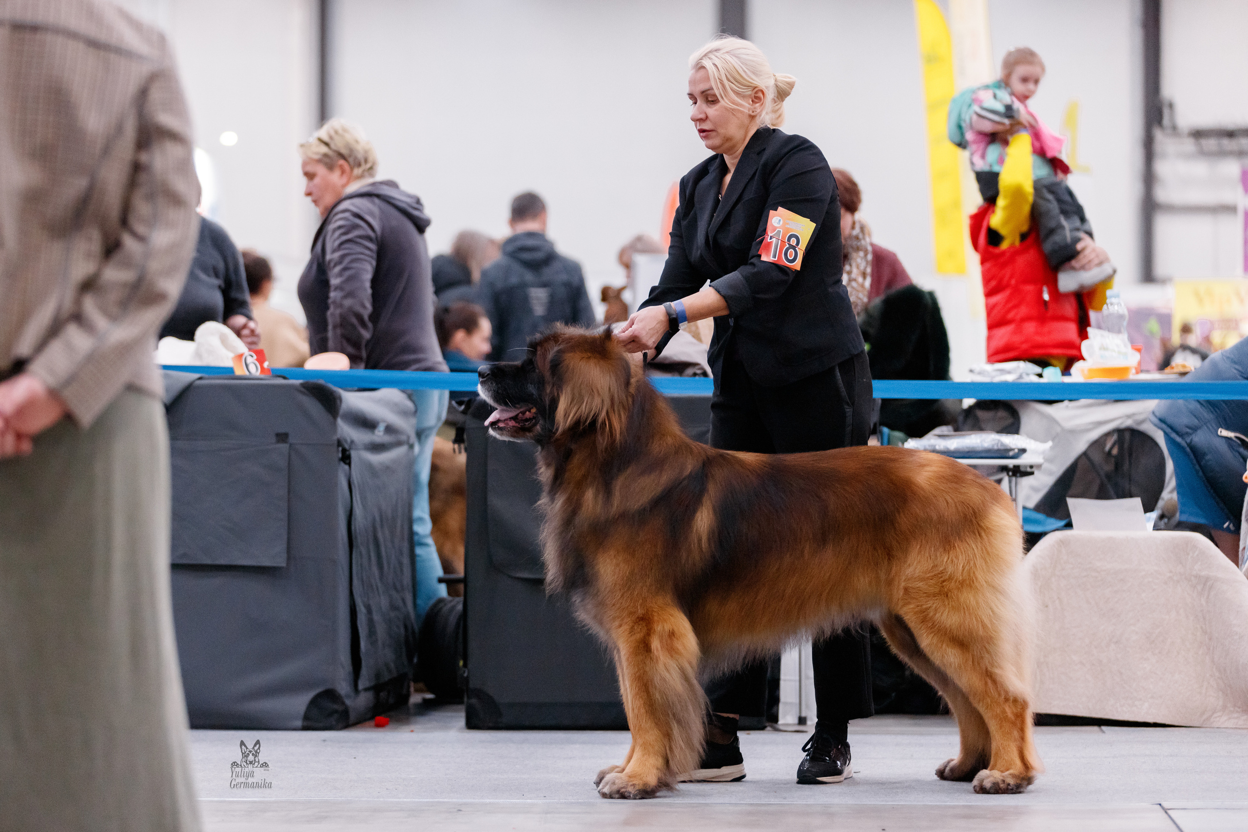 Питер 17-18.12.2022. Фотограф-анималист Юлия Германика