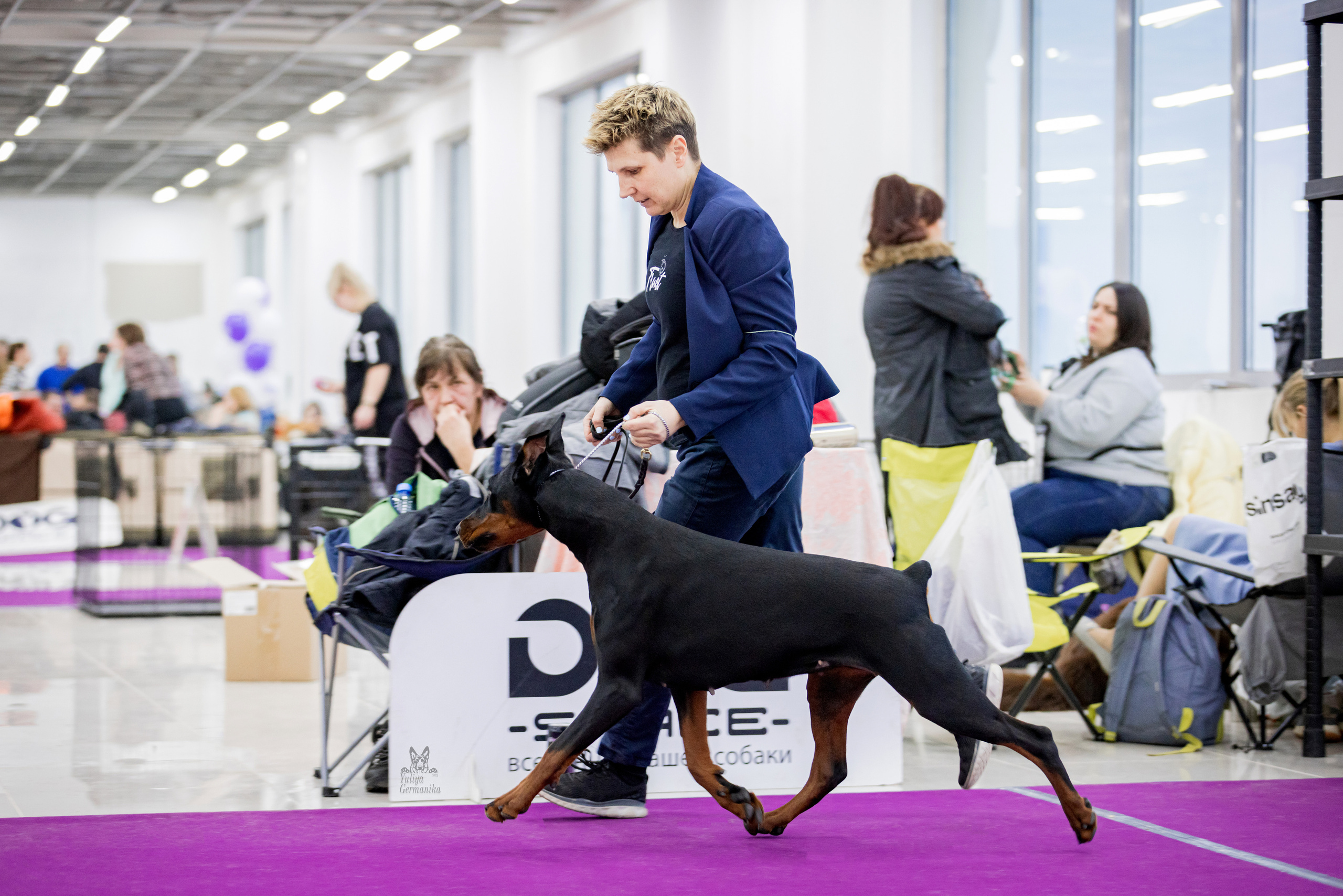 Можайский двор 11-12.02.2023. Фотограф-анималист Юлия Германика