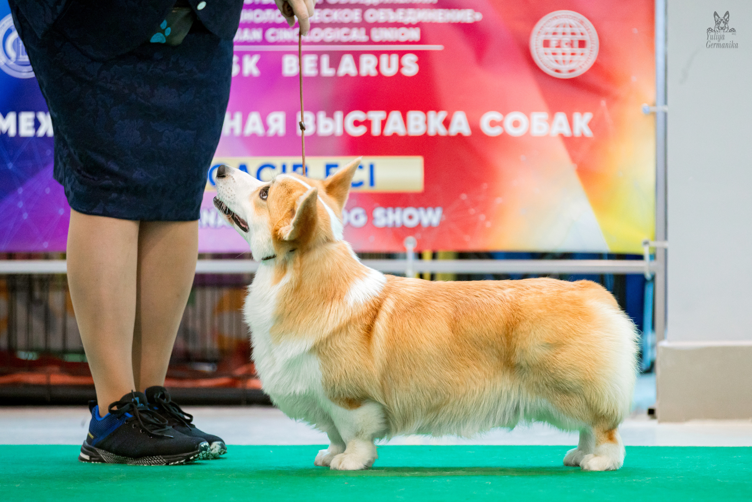 Минск 25-26.02.2023. Фотограф-анималист Юлия Германика