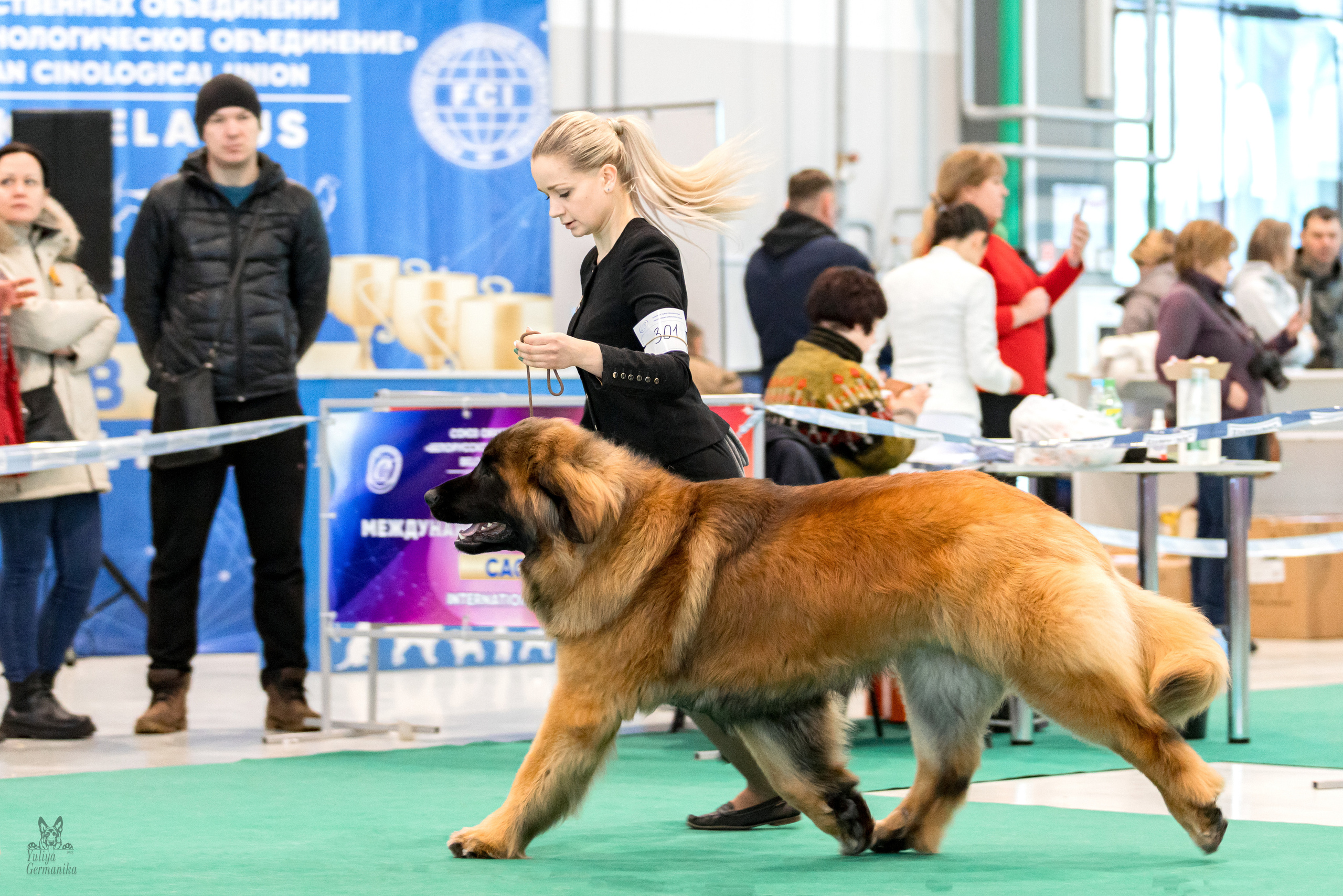 Минск 25-26.02.2023. Фотограф-анималист Юлия Германика