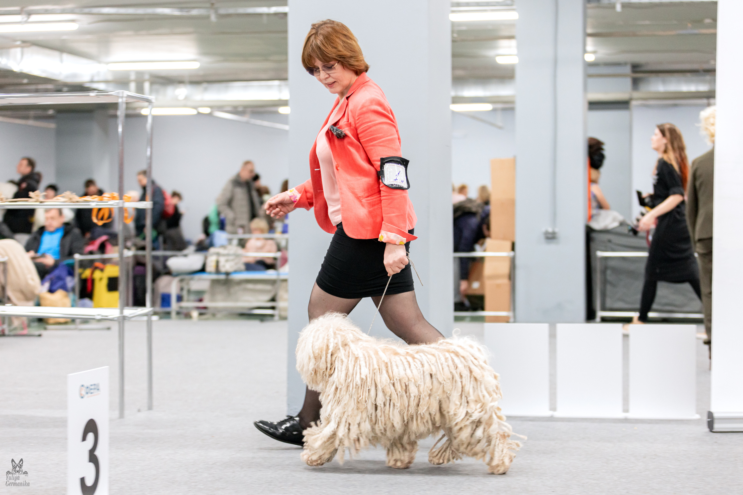 Сфера 5.03.2023. Фотограф-анималист Юлия Германика