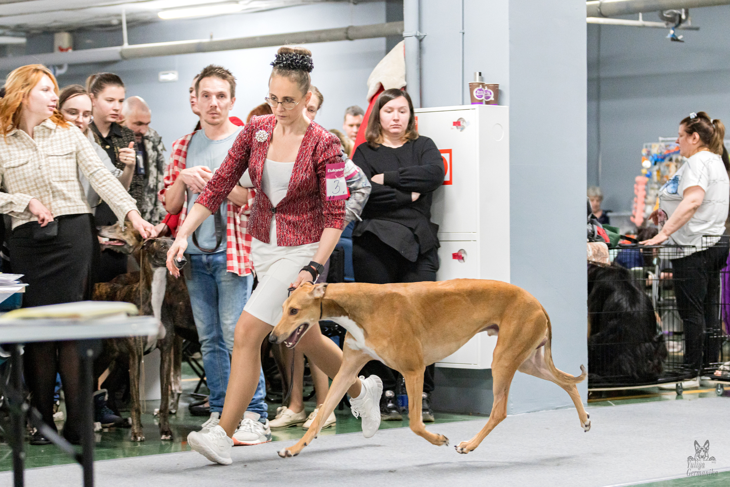 Сфера 5.03.2023. Фотограф-анималист Юлия Германика