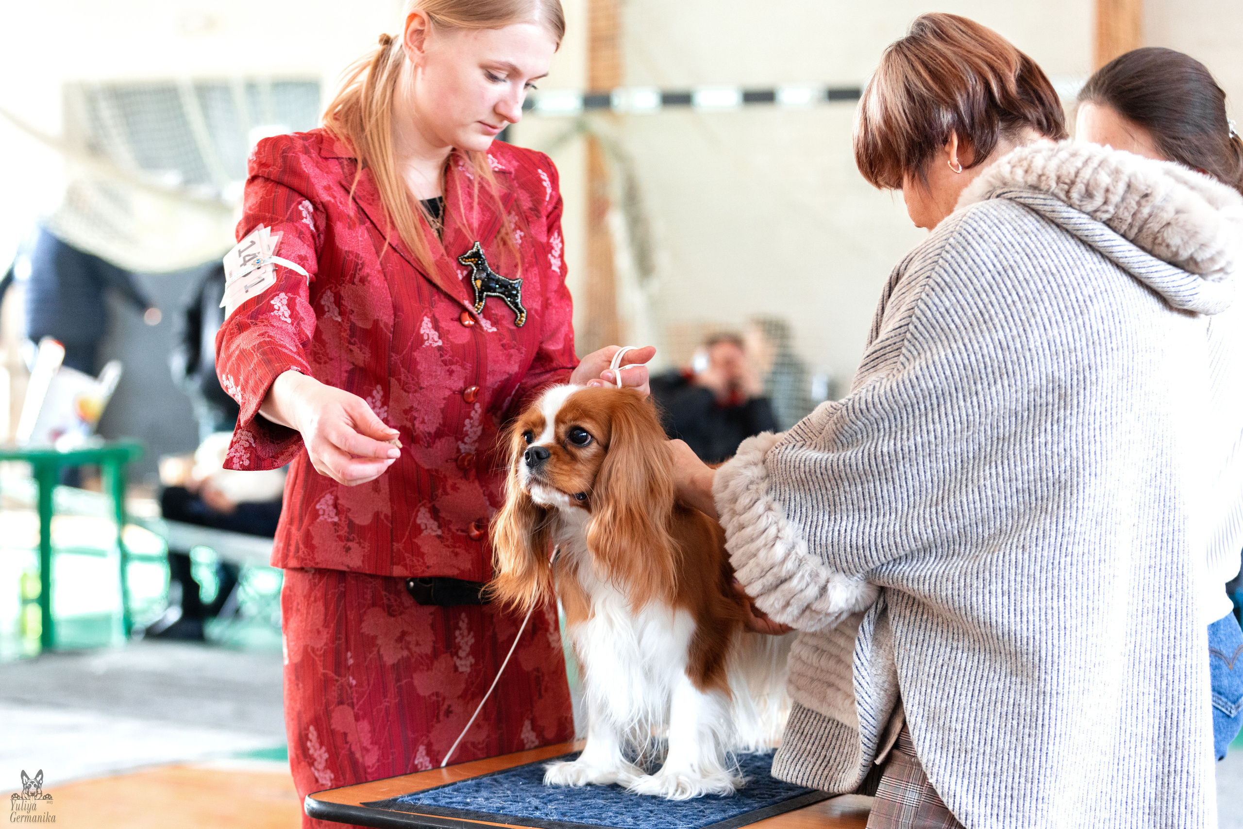 Тверь 19.03.2023. Фотограф-анималист Юлия Германика