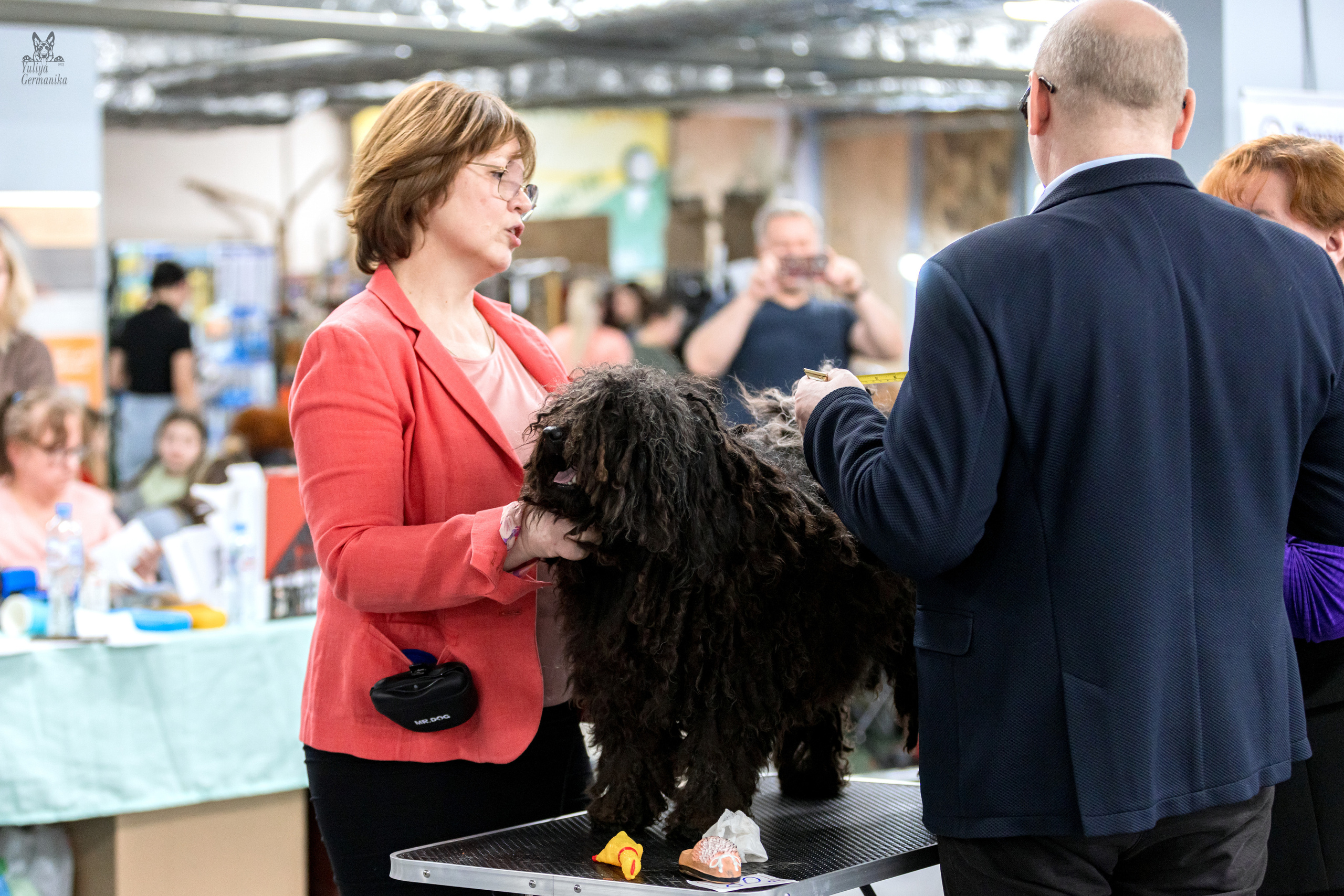 Сфера 5.03.2023. Фотограф-анималист Юлия Германика