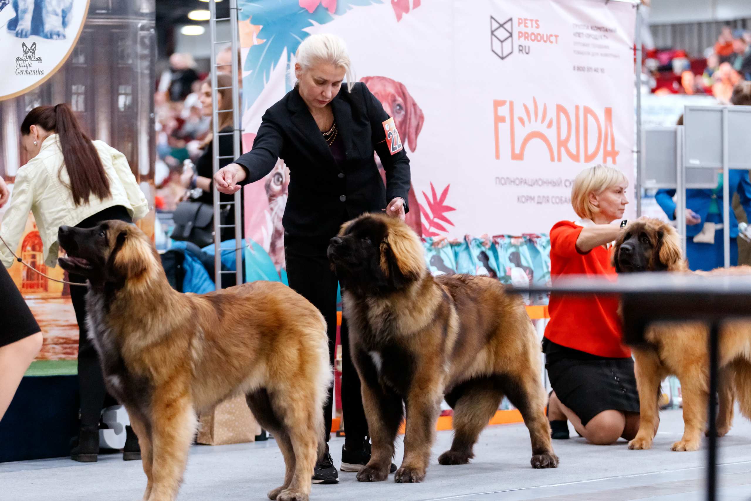 Питер 17-18.12.2022. Фотограф-анималист Юлия Германика