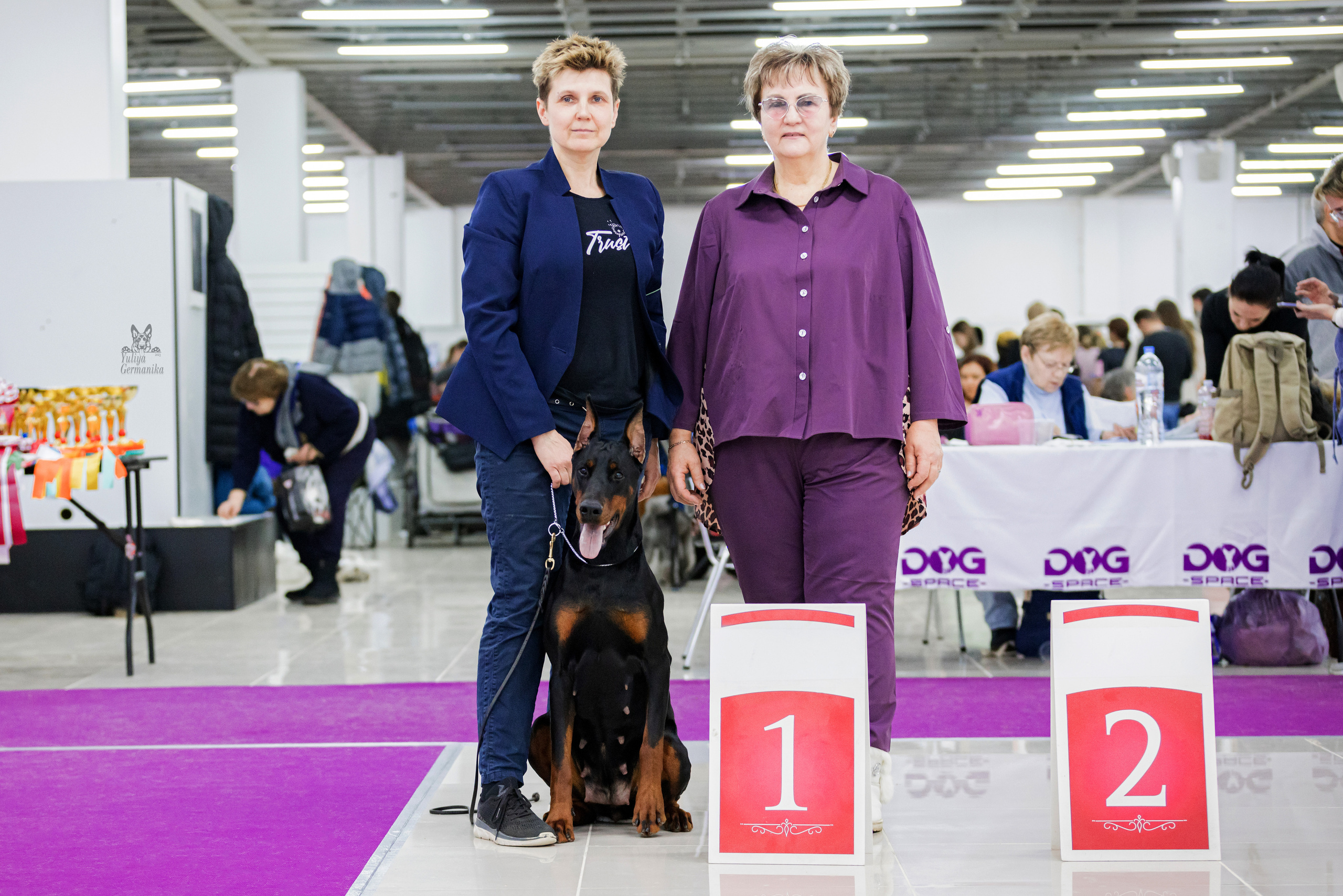 Можайский двор 11-12.02.2023. Фотограф-анималист Юлия Германика