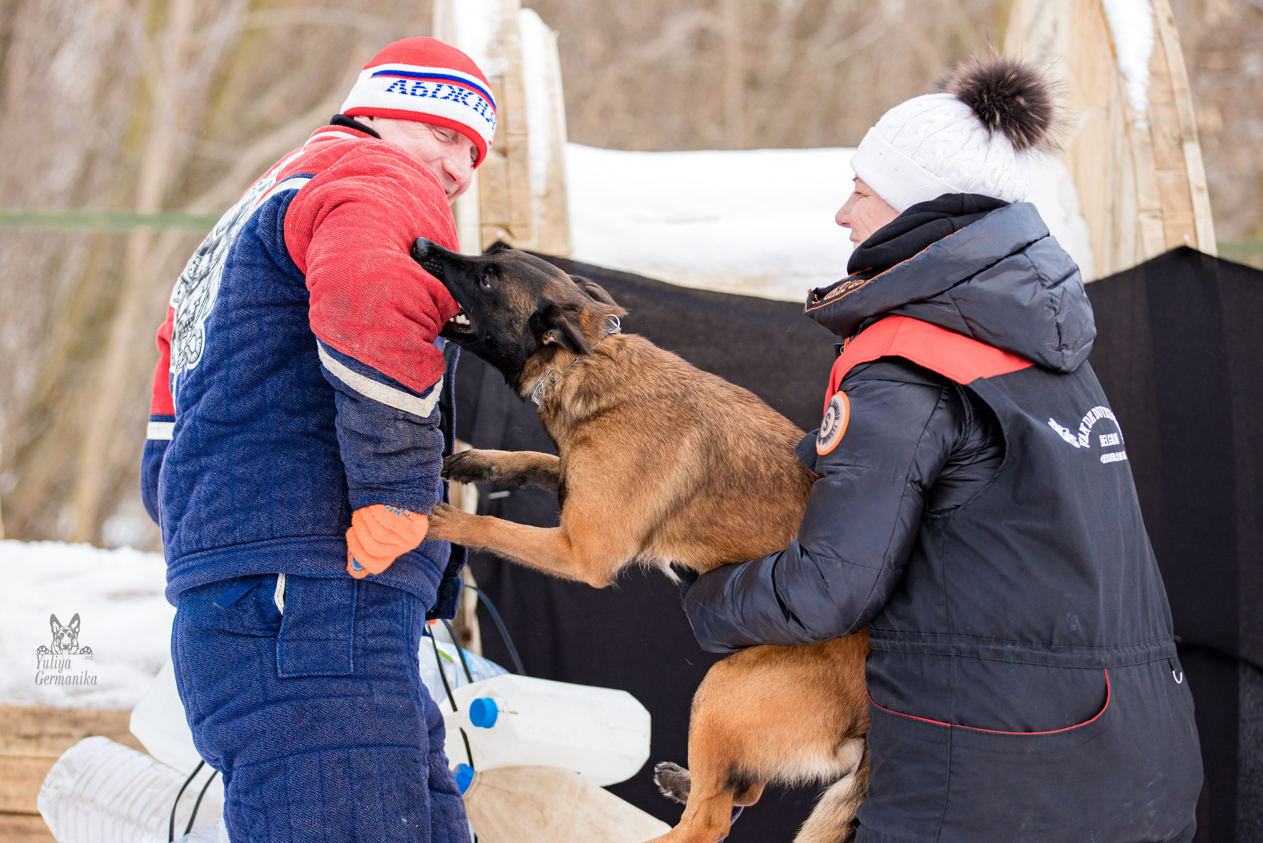 Свободная съемка. Фотограф-анималист Юлия Германика