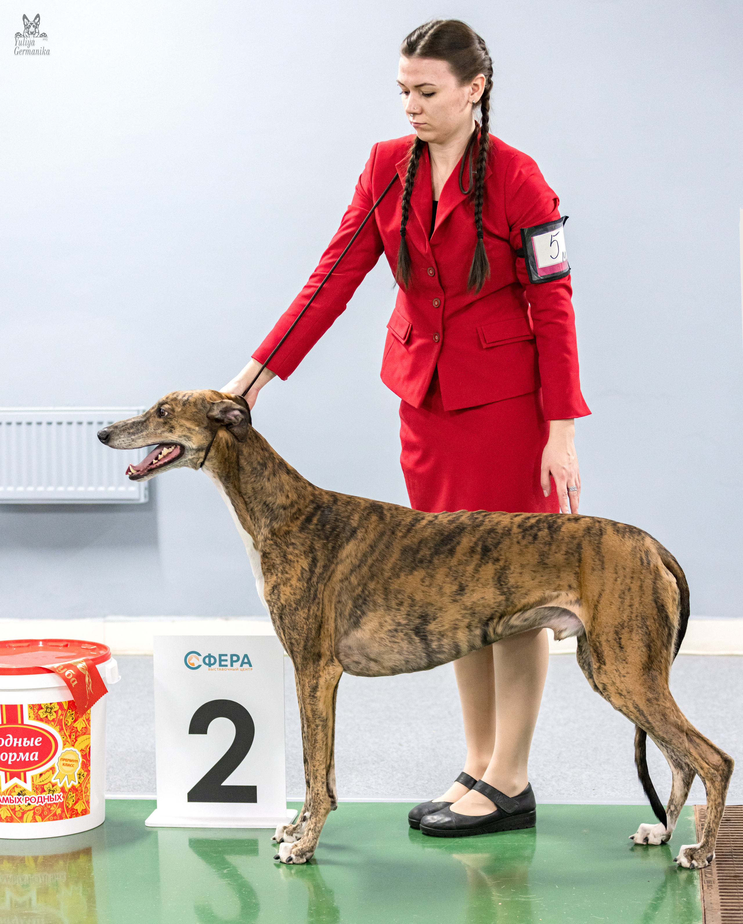 Сфера 5.03.2023. Фотограф-анималист Юлия Германика