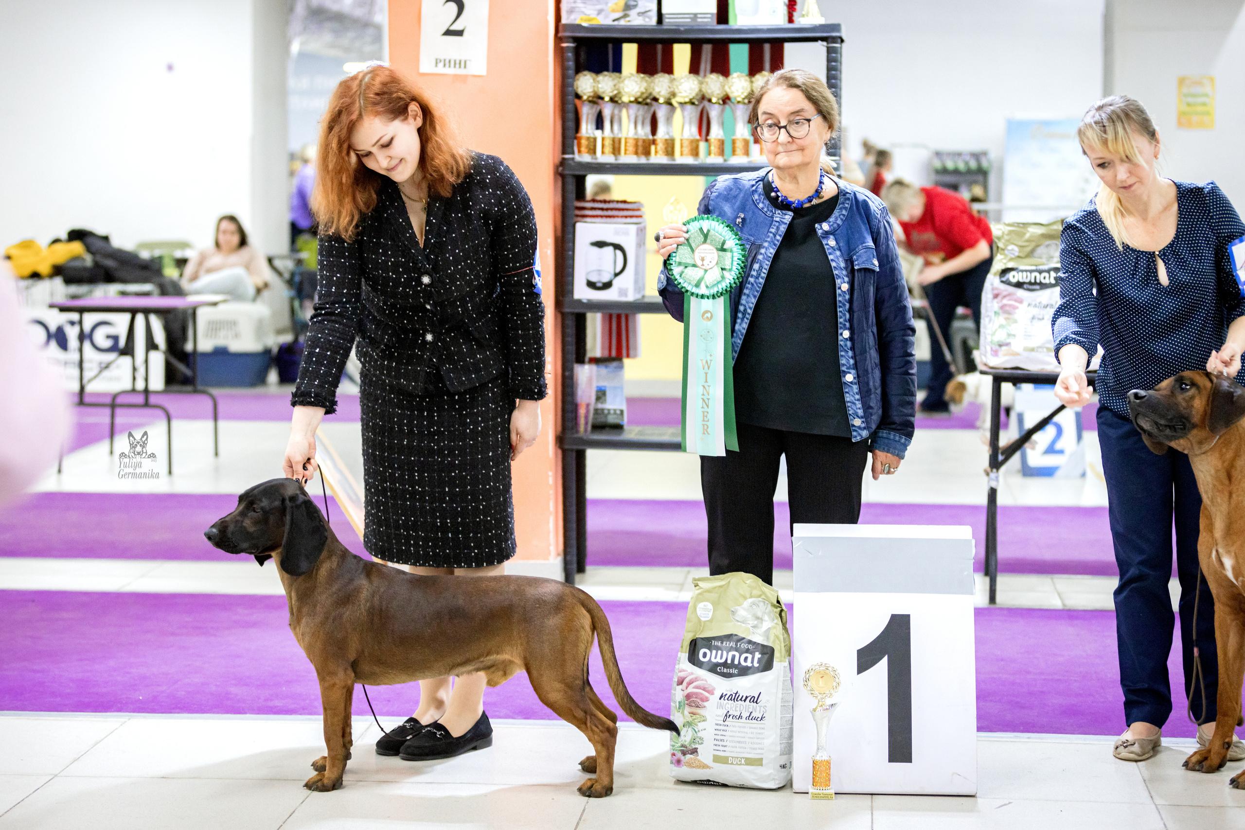 Чайна-Таун 15,21 и 22.01.2023. Фотограф-анималист Юлия Германика